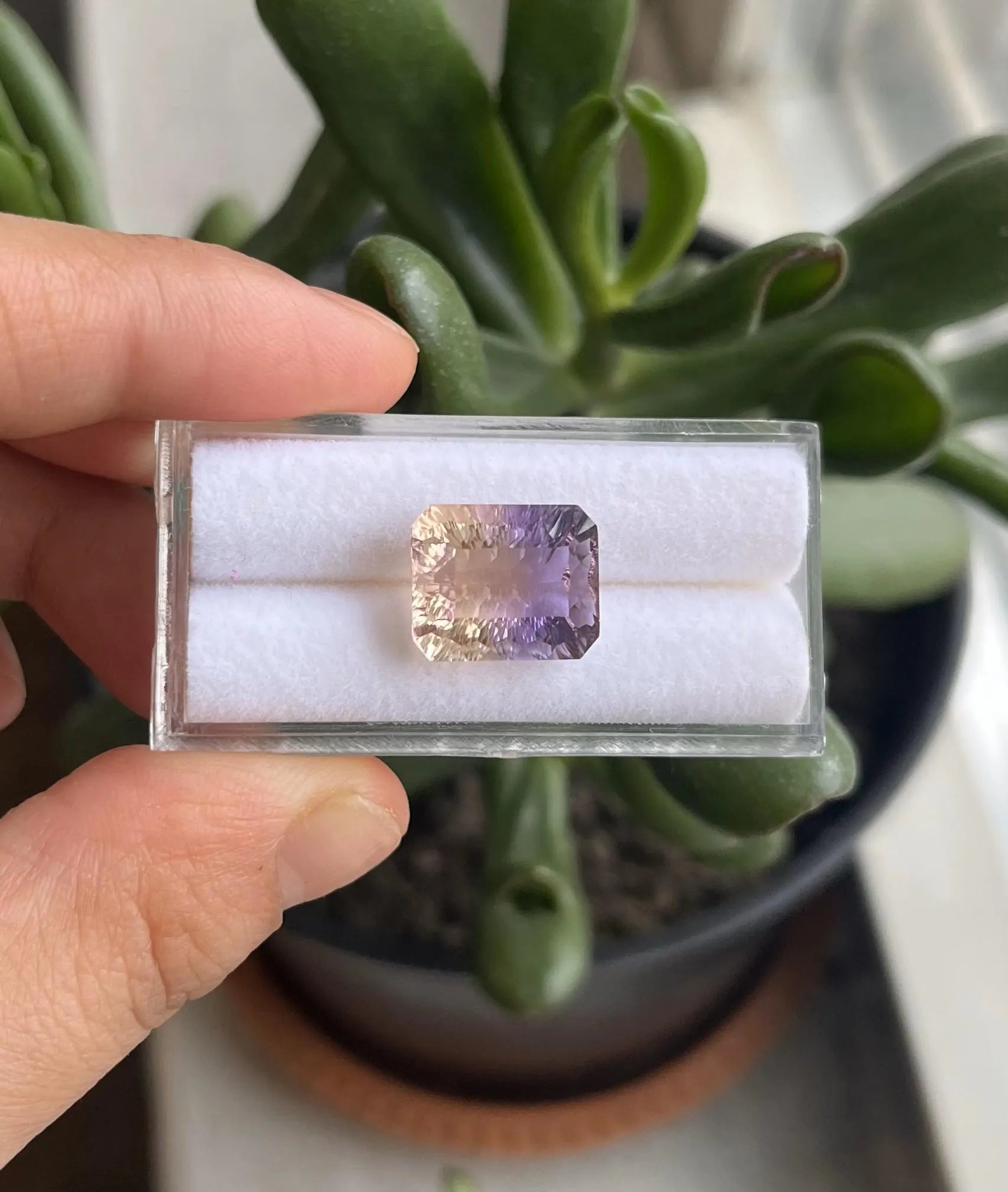 Ametrine Faceted 13.2x11mm Approximately 8.6  Carat (GTG-AMT-23)