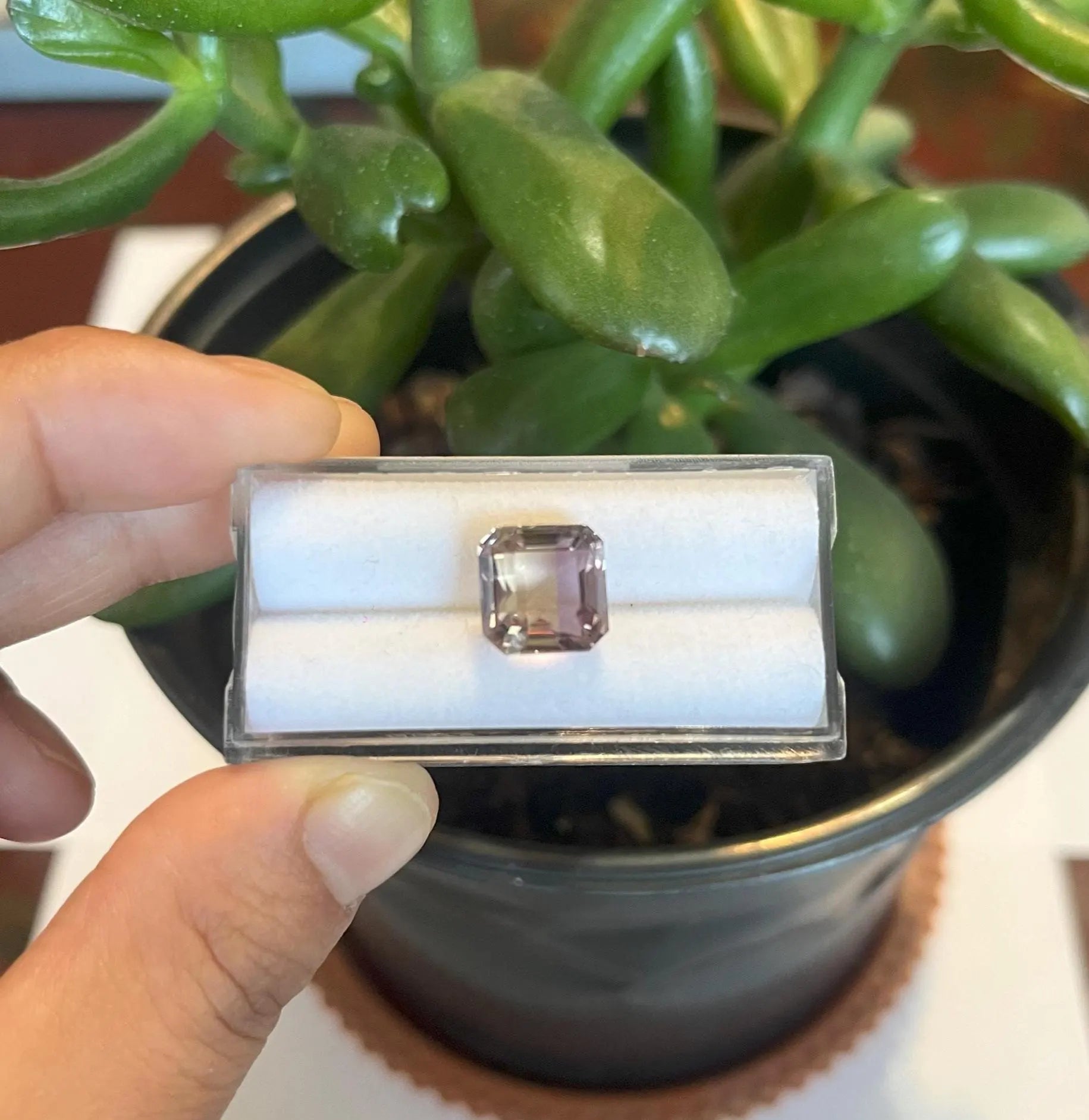 Ametrine Faceted 11.1x9.9mm Approximately 5.72 Carat (GTG-AMT-3)
