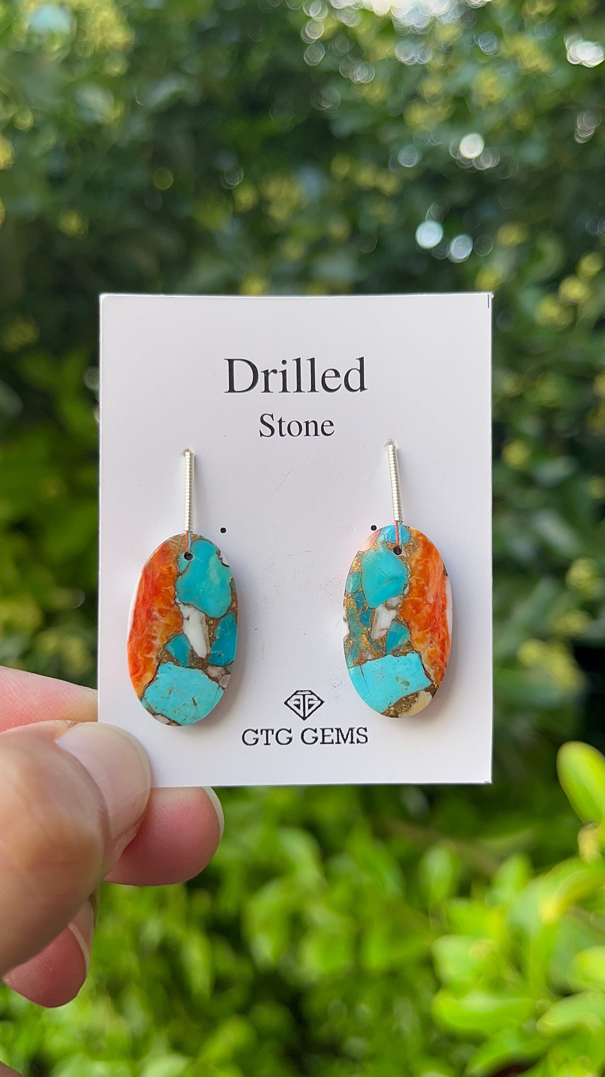 Drilled Oyster Turquoise, Matching pair 24x14 mm Approximately 27 Carat (GTG-DOT-26)