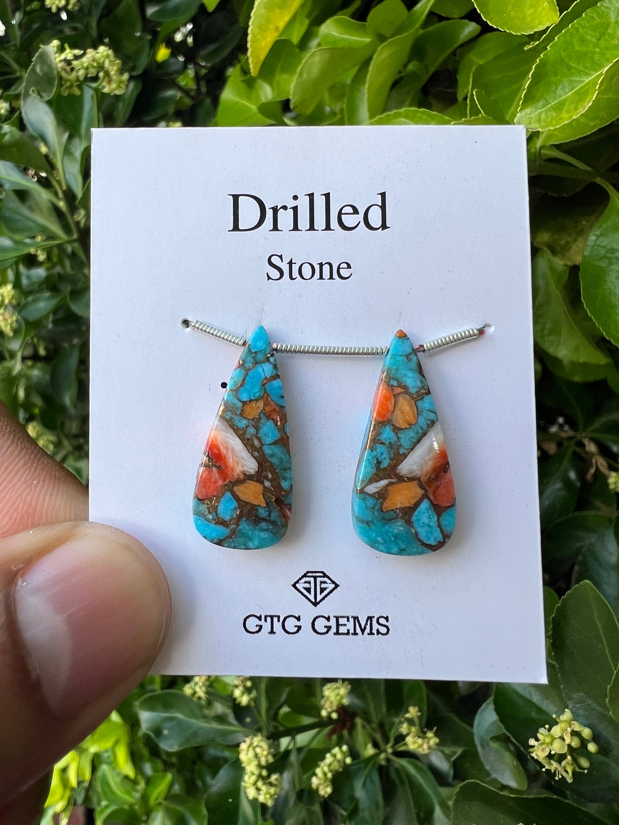 Drilled Oyster Turquoise, Matching pair 25x11 mm Approximately 17.50 Carat (GTG-DOT-24)