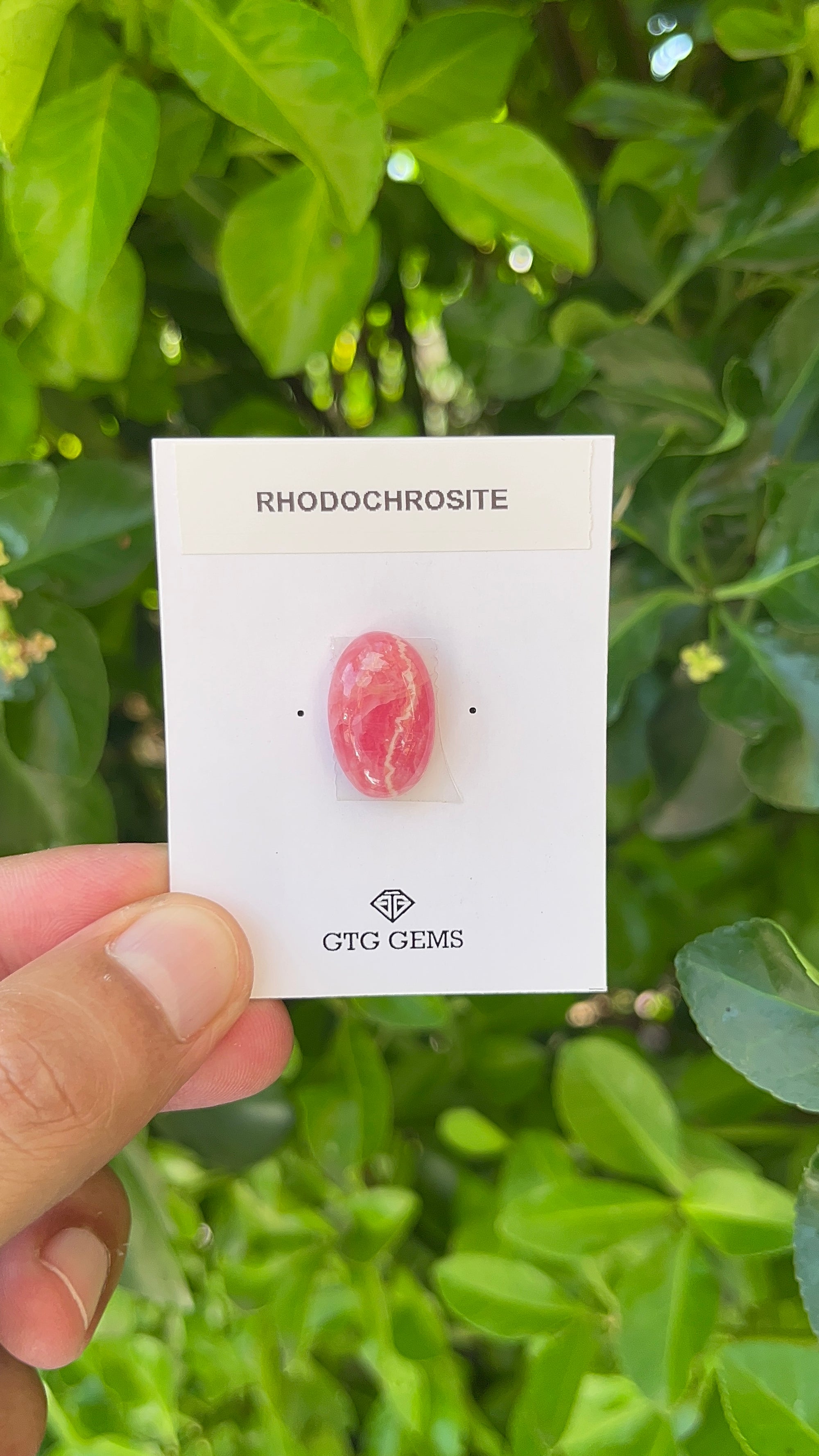 Rhodochrosite Cabochon, Rhodochrosite 19x12 mm, Approximately 15.85 carat (GTG-RCH-41)