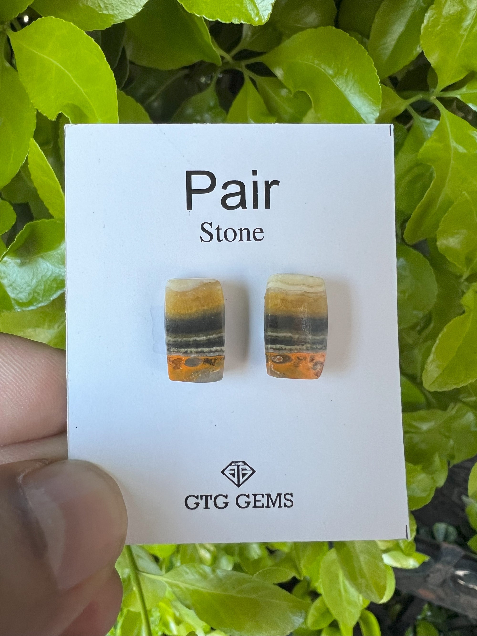 Jasper Matching Pair Cabochon, Flat Back Jasper 15x9mm