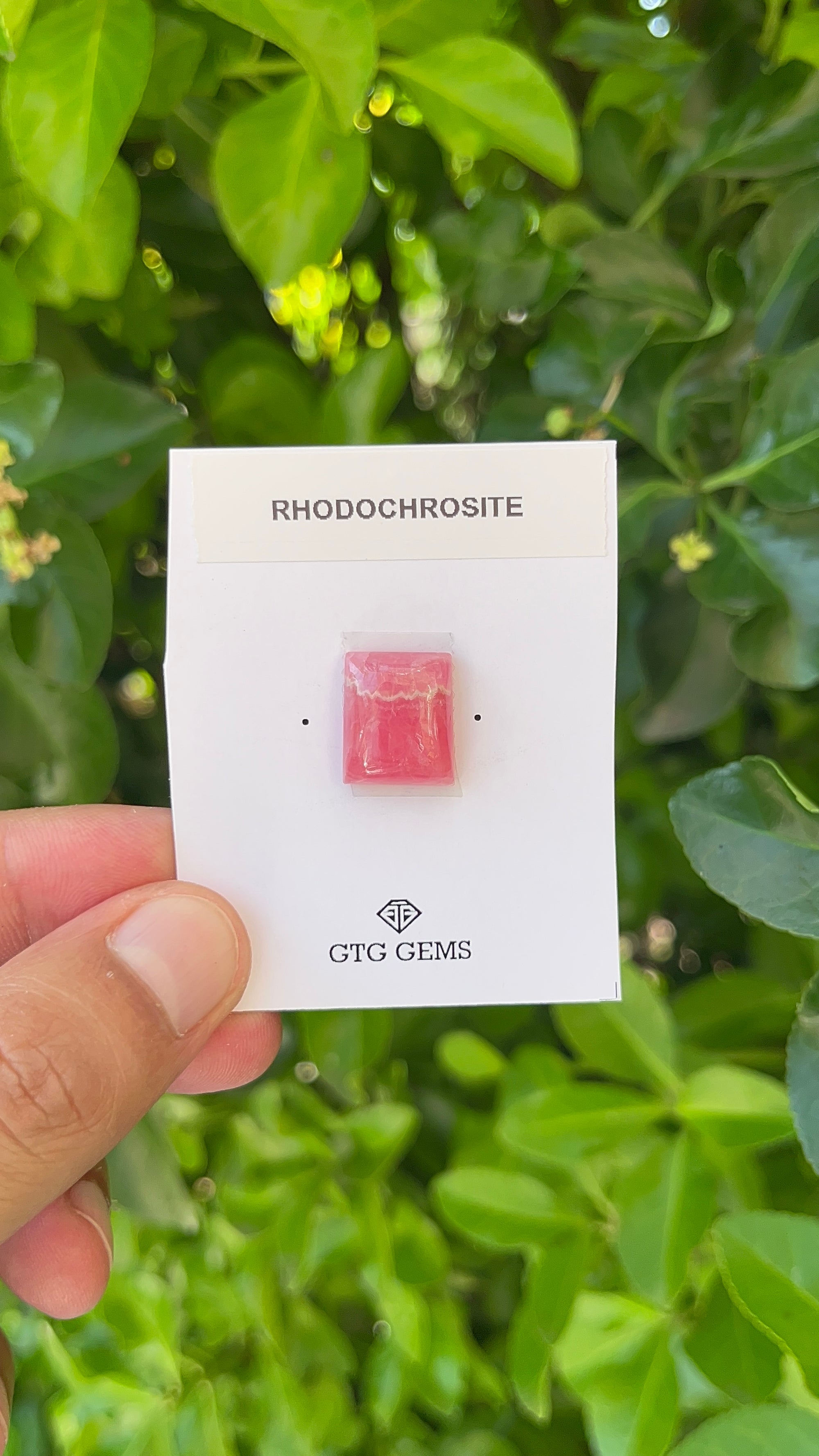 Rhodochrosite Cabochon, Rhodochrosite 15x13 mm, Approximately 14.59 carat (GTG-RCH-42)