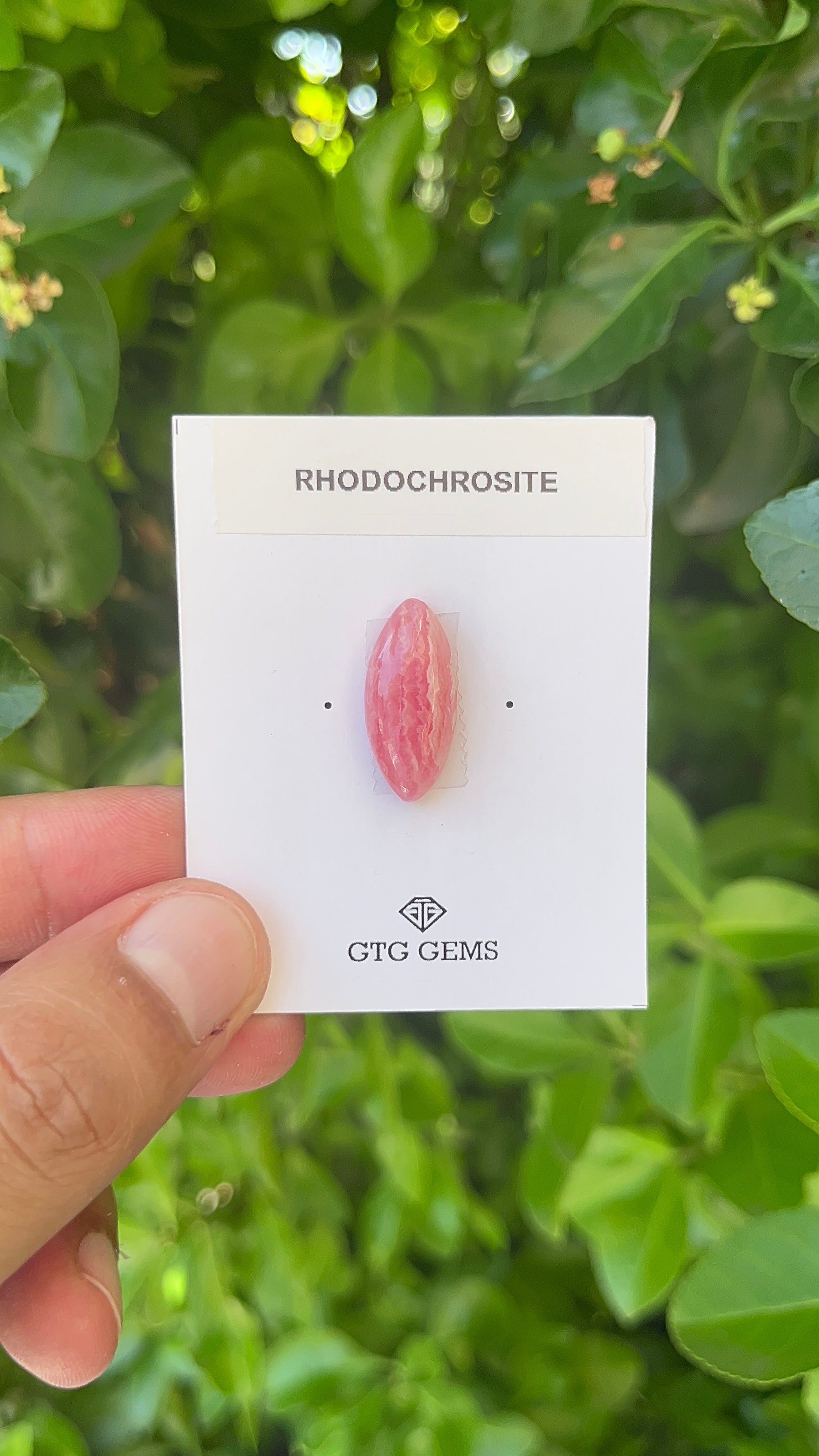 Rhodochrosite Cabochon, Rhodochrosite 22x10 mm, Approximately 12.81 carat (GTG-RCH-57)
