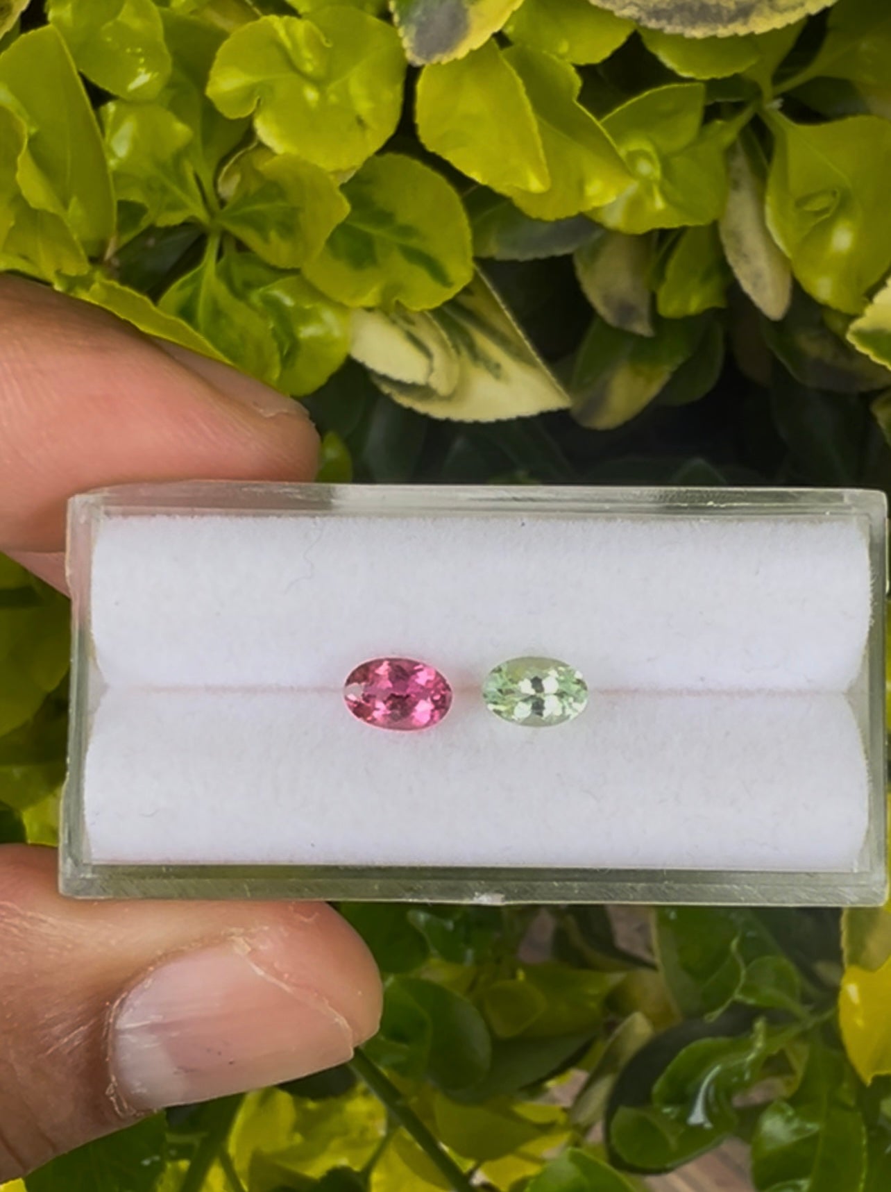 Natural Tourmaline 6.3 x 4.2 x 3.4mm , Approximately 1.10 Carat