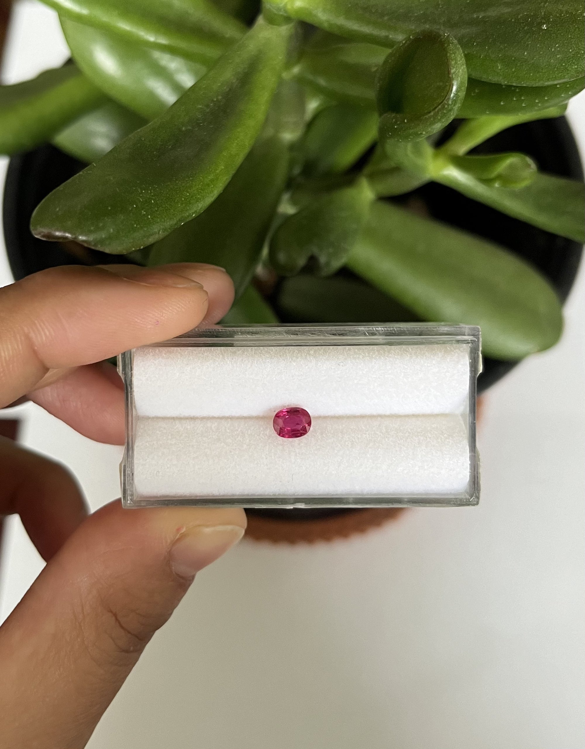 Natural unheated Ruby Oval Shape 5.2x4.1x2.4mm Approximately 0.52 Carat
