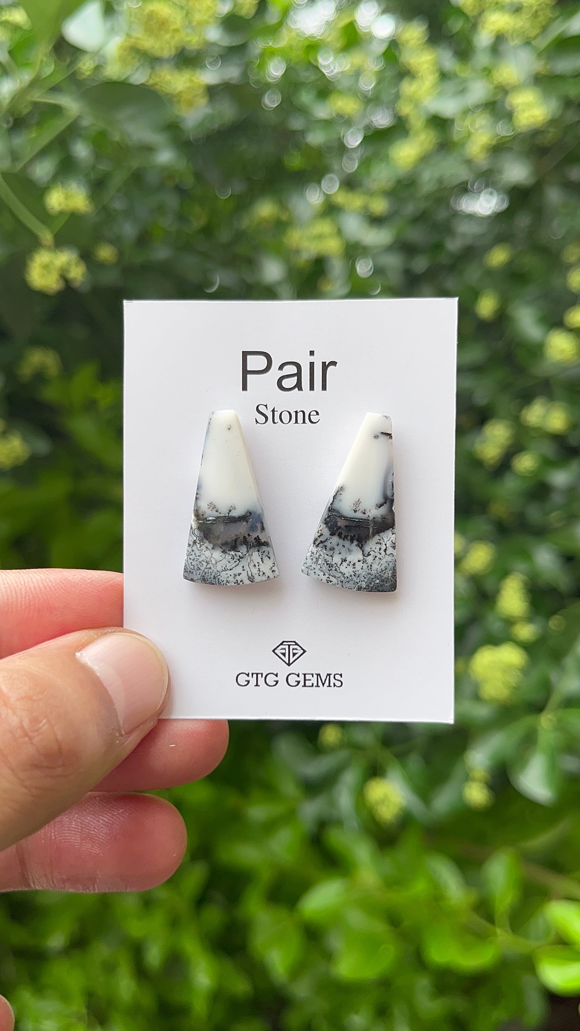 Dendritic Opal, Cabochon Matching Pair 26x14 mm, Approximately 20.50 carat (GTG-MDO-12)