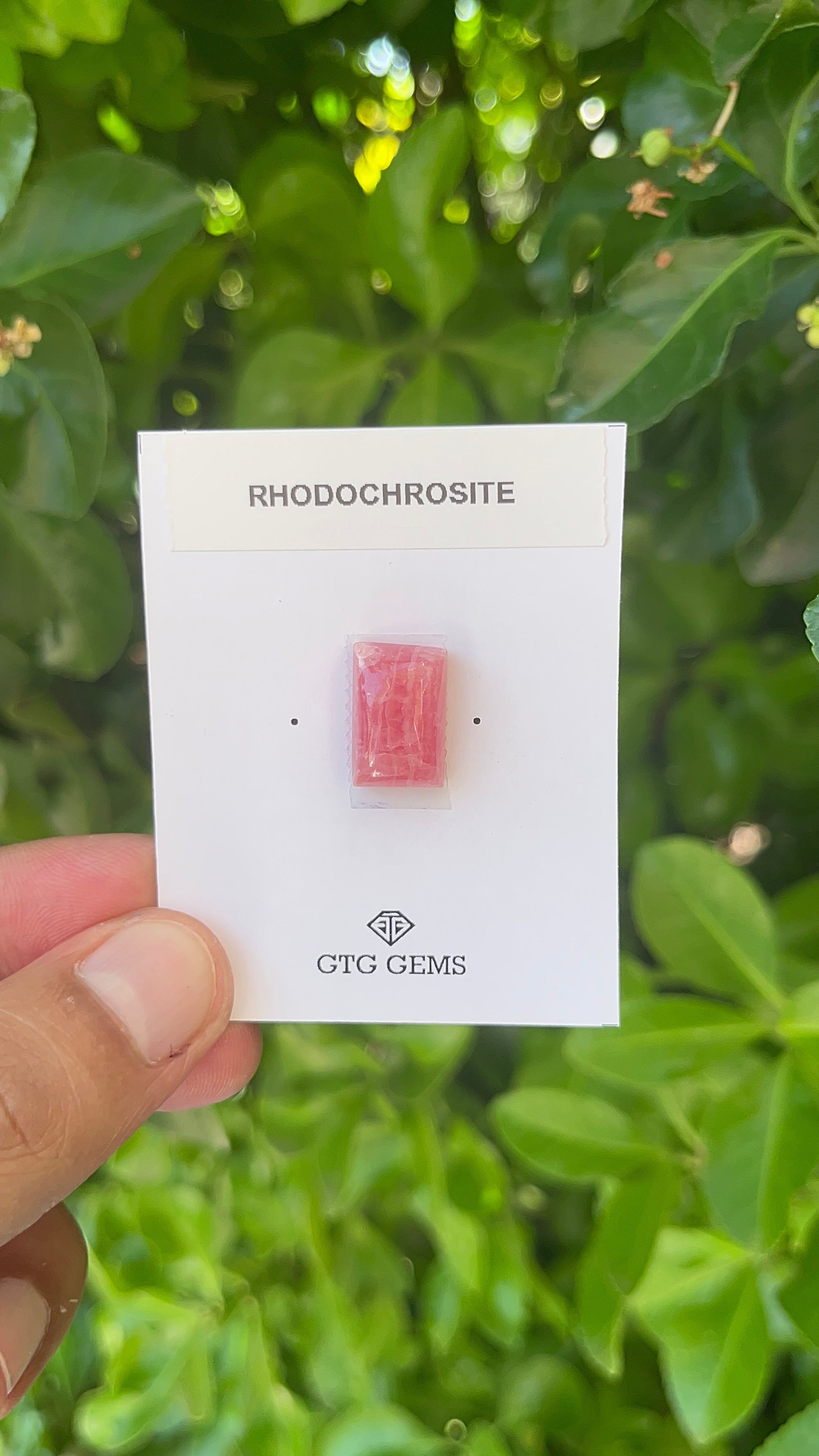 Rhodochrosite Cabochon, Rhodochrosite 15x10 mm, Approximately 13.96 carat (GTG-RCH-48)