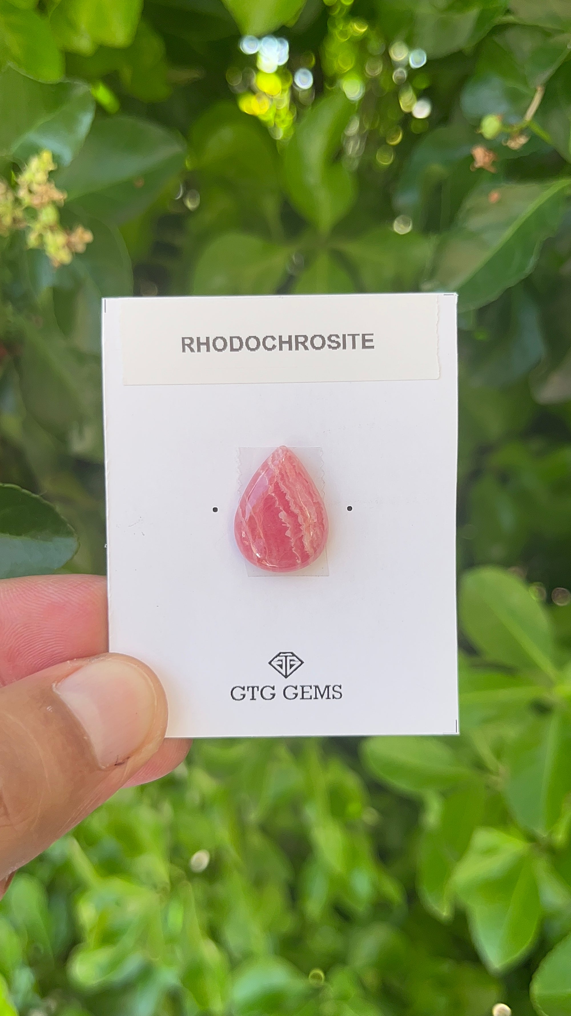 Rhodochrosite Cabochon, Rhodochrosite 18x14 mm, Approximately 11.50 carat (GTG-RCH-51)