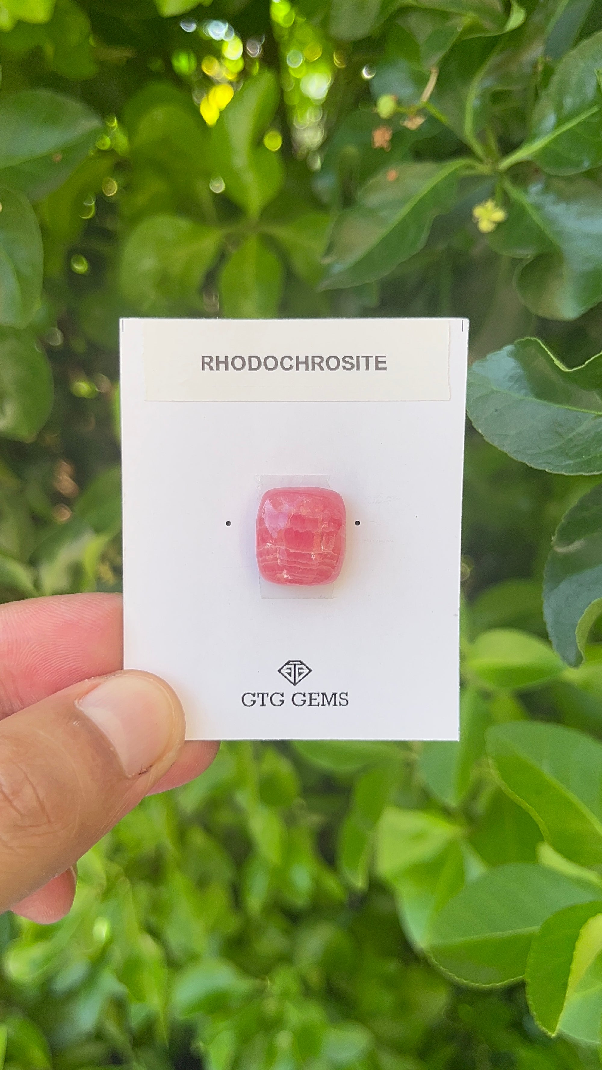 Rhodochrosite Cabochon, Rhodochrosite 15x14 mm, Approximately 17.23 carat (GTG-RCH-64)