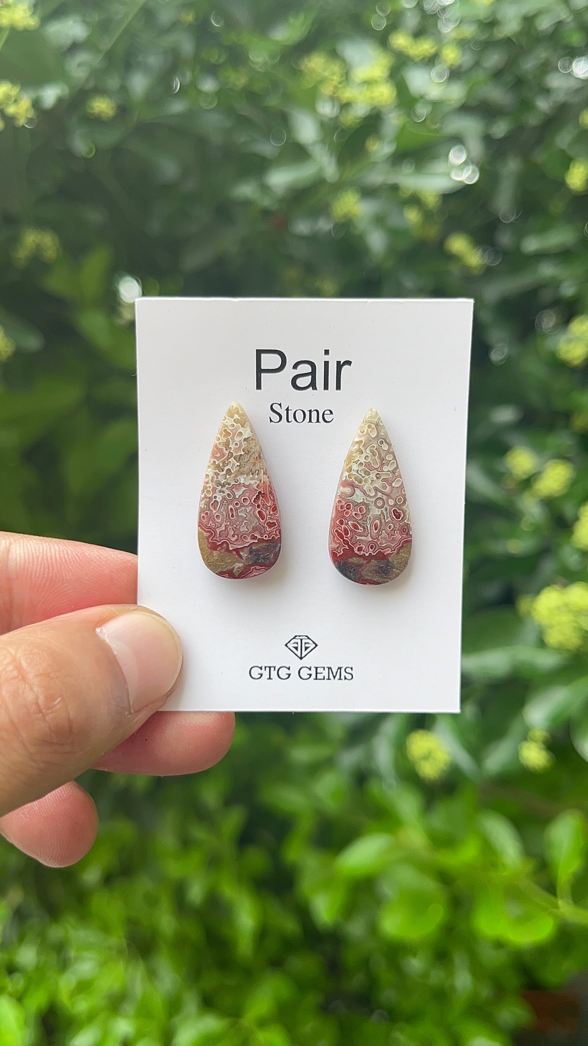 Crazy Lace Agate, Cabochon Matching pair 27x13 mm, Approximately 22 carat (GTG-MCLA-6)