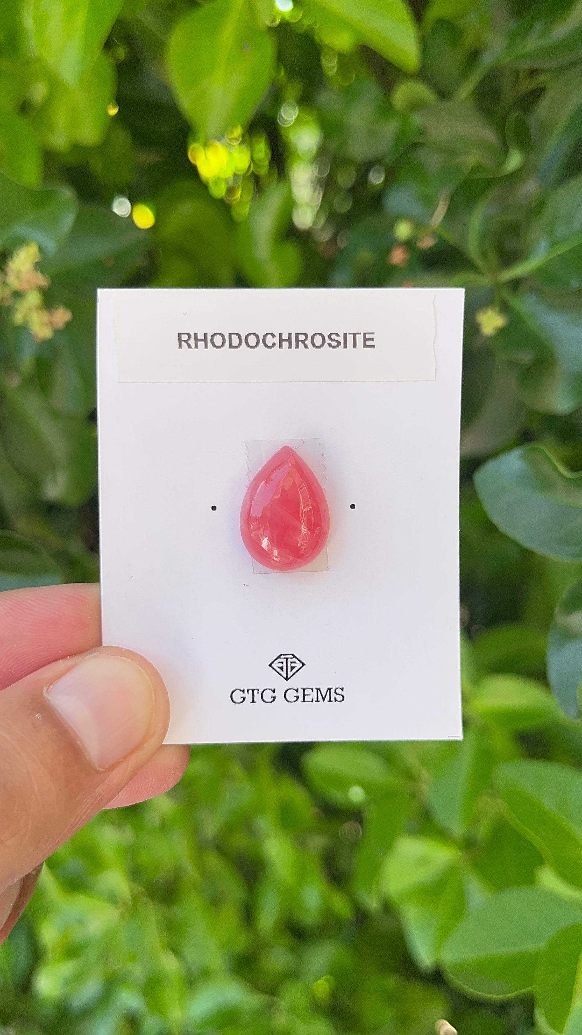 Rhodochrosite Cabochon, Rhodochrosite 17x13 mm, Approximately 14.23 carat (GTG-RCH-26)