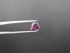 Malaya Garnet trillion Shape Faceted 6.5x6.1mm
