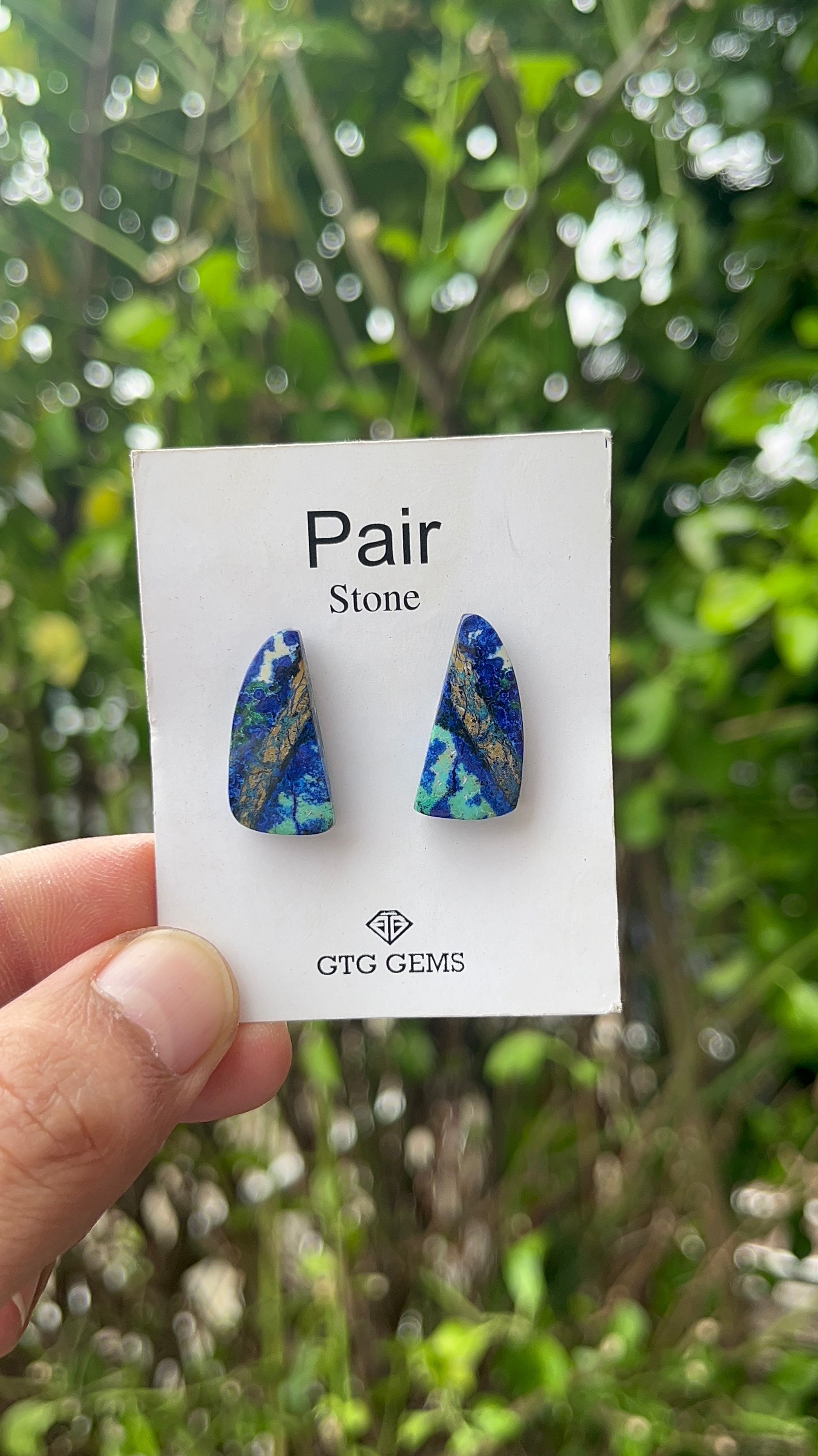 Azurite Malachite Cabochon Matching Pair 22x11 mm