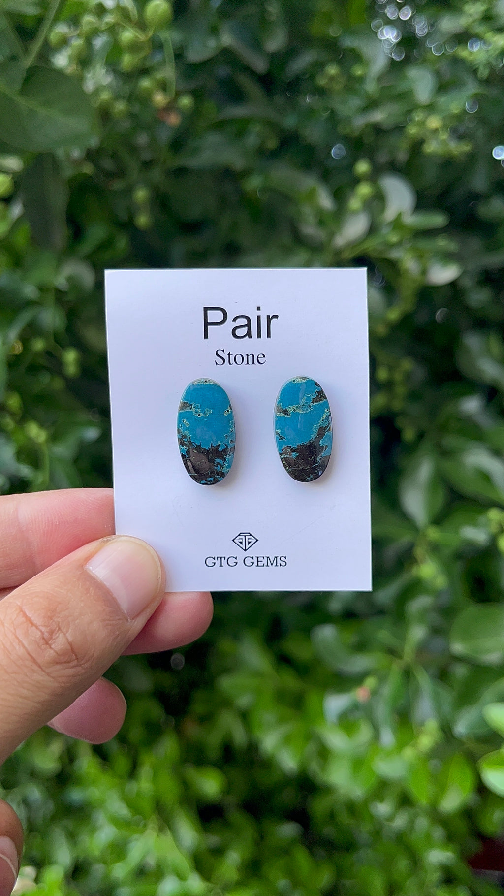 Natural  Azurite Matching Pair Cabochon, 20.5x11 mm, Approximately 25.5 carat (GTG-MAC-1)