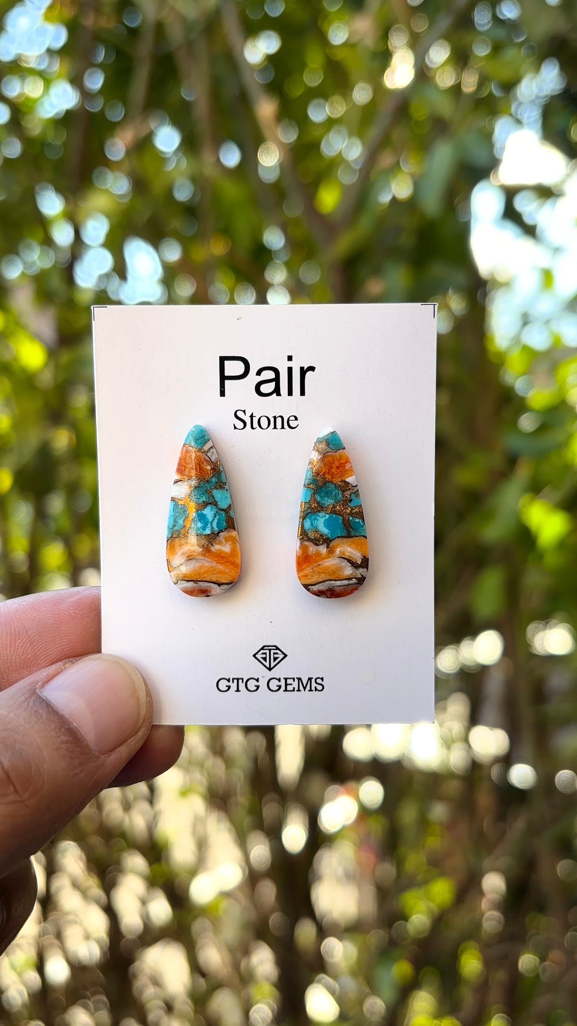 Oyster Copper Turquoise Cabochon Matching Pair 24x10 mm