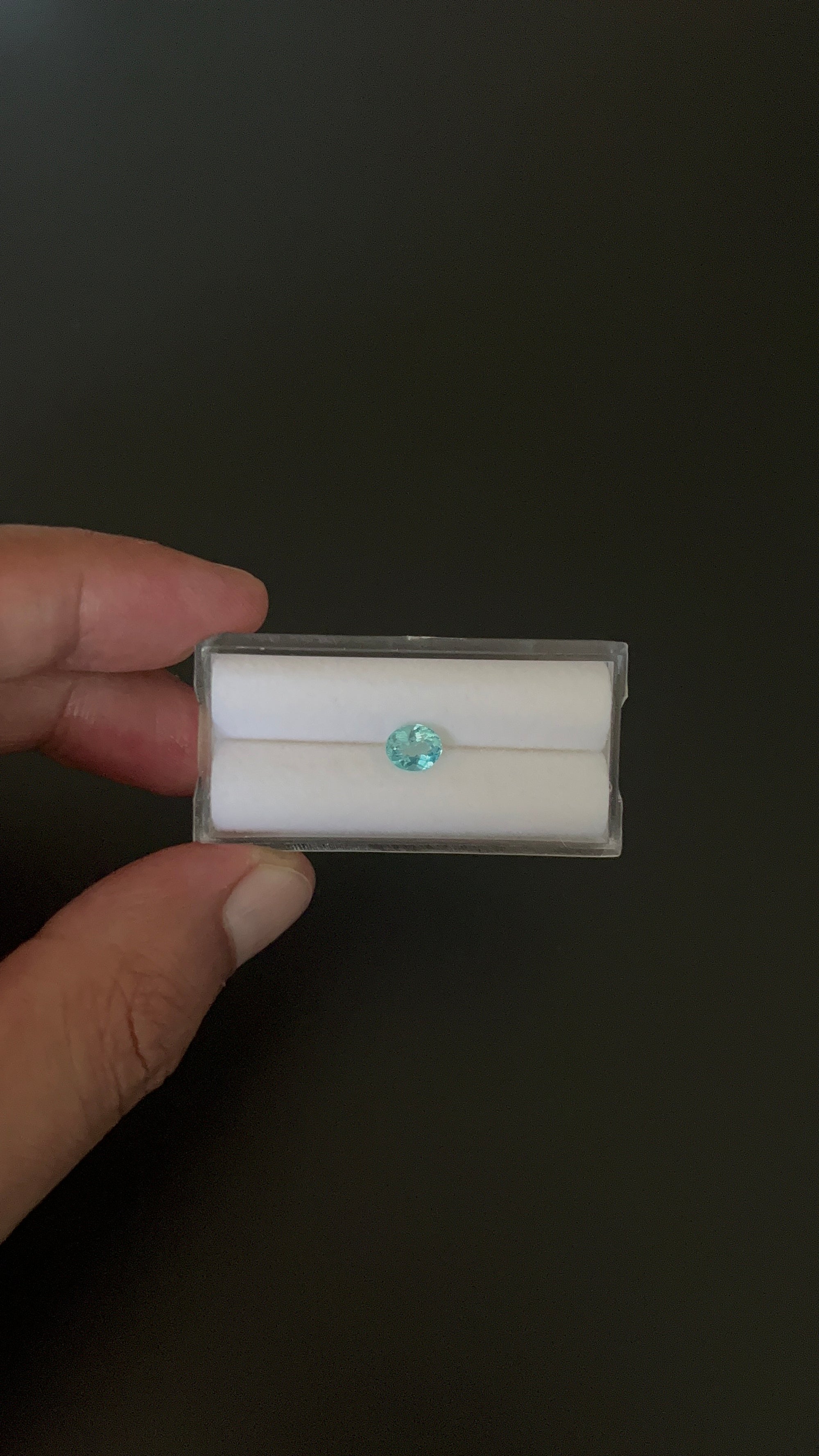 Natural Blue Apatite Faceted 6.5x5.4 mm Approximately .80 Carat (GTG-AP-97)