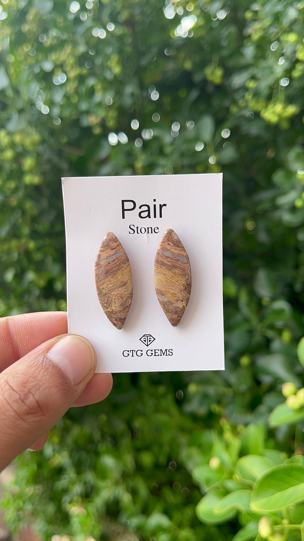 Picture Jasper 31.50x12mm Matching Pair Cabochon