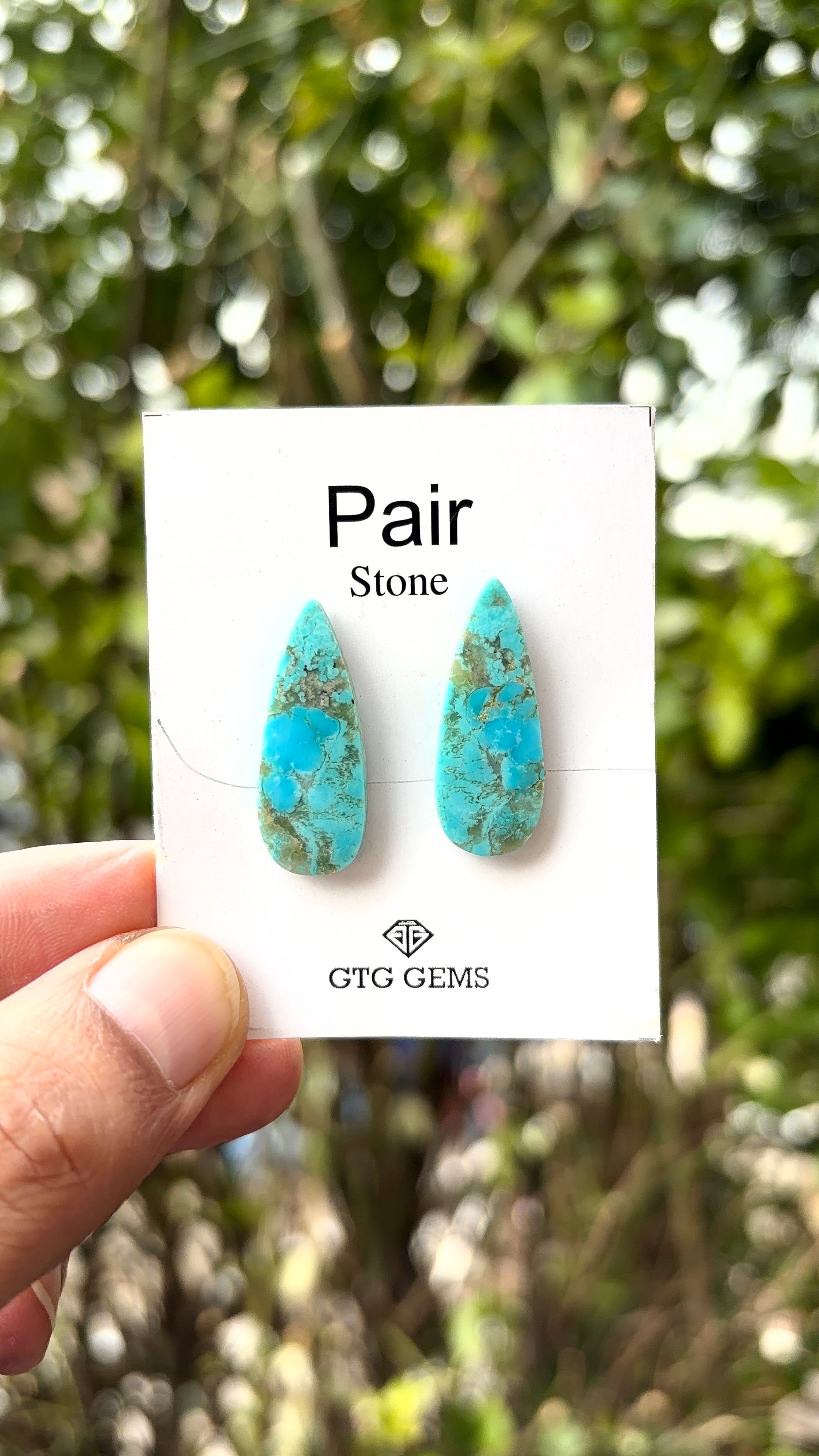 American Turquoise Cabochon Matching Pair 26x9 mm