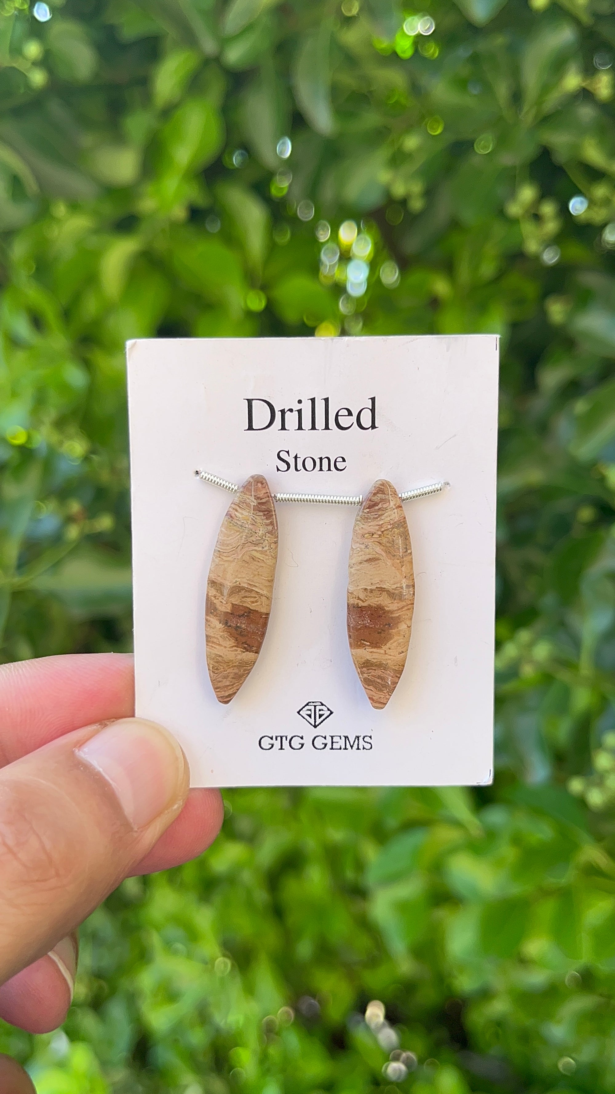 Picture Jasper, Drilled Cabochon 33x9 mm Approximately 15.50 Carat (GTG-DPJ-26)