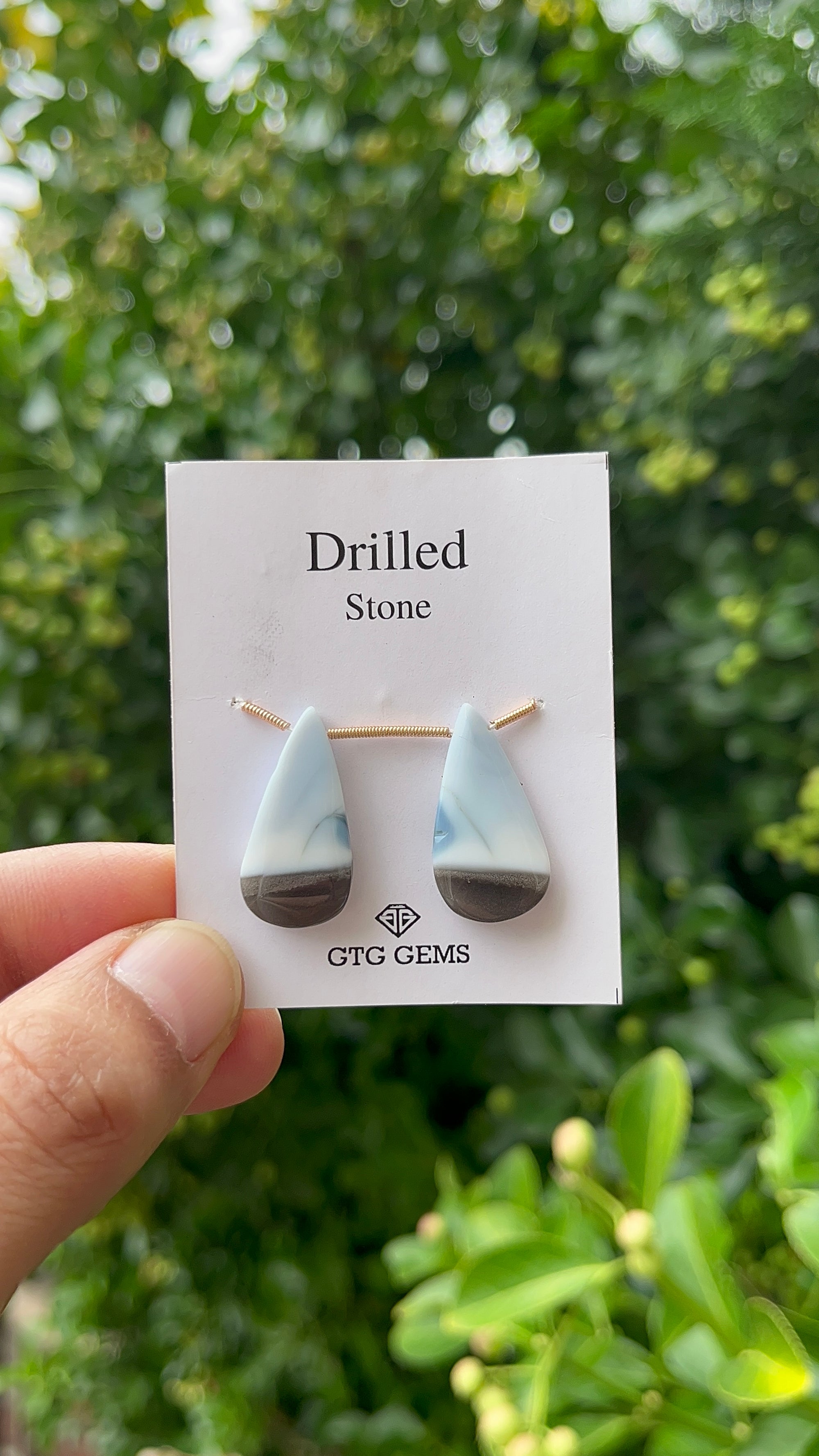 Drilled Blue Opal, 25x13mm Approximately 18.50 Carat (GTG-DOP-11)