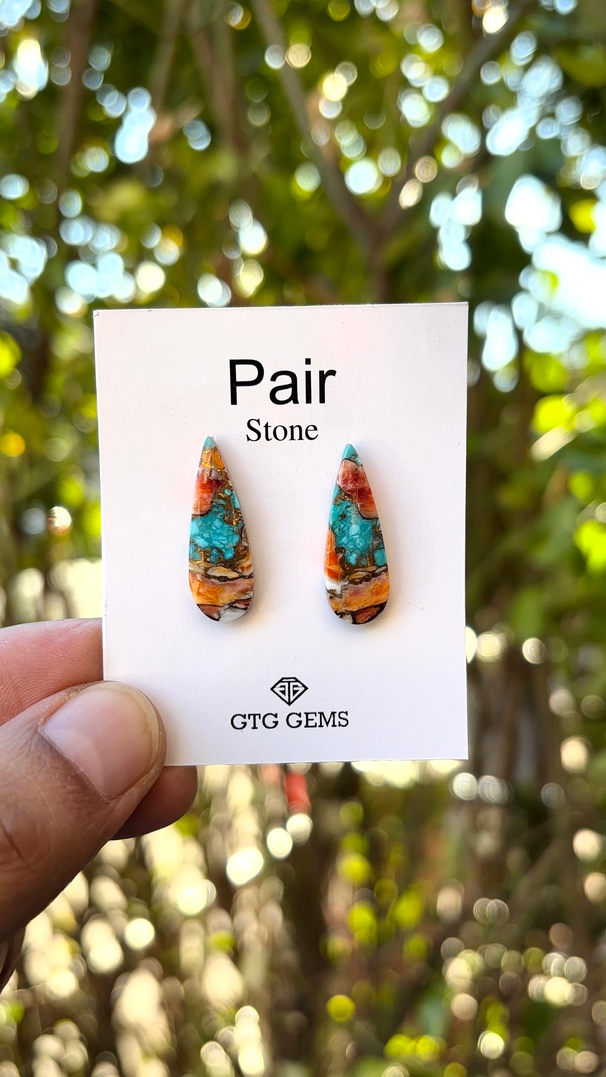 Oyster Copper Turquoise Cabochon Matching Pair 23x7 mm
