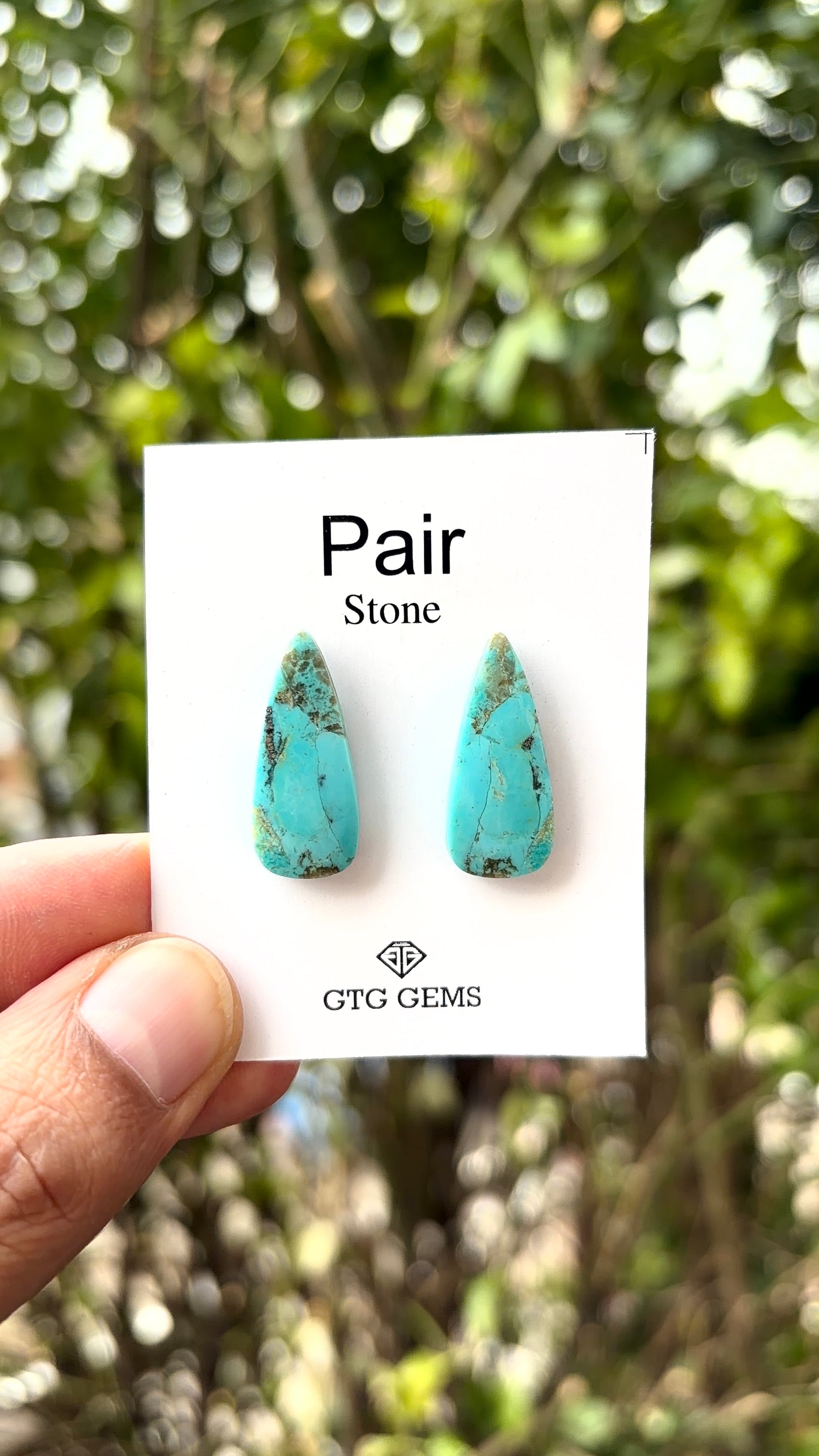 American Turquoise Cabochon Matching Pair 24x9 mm