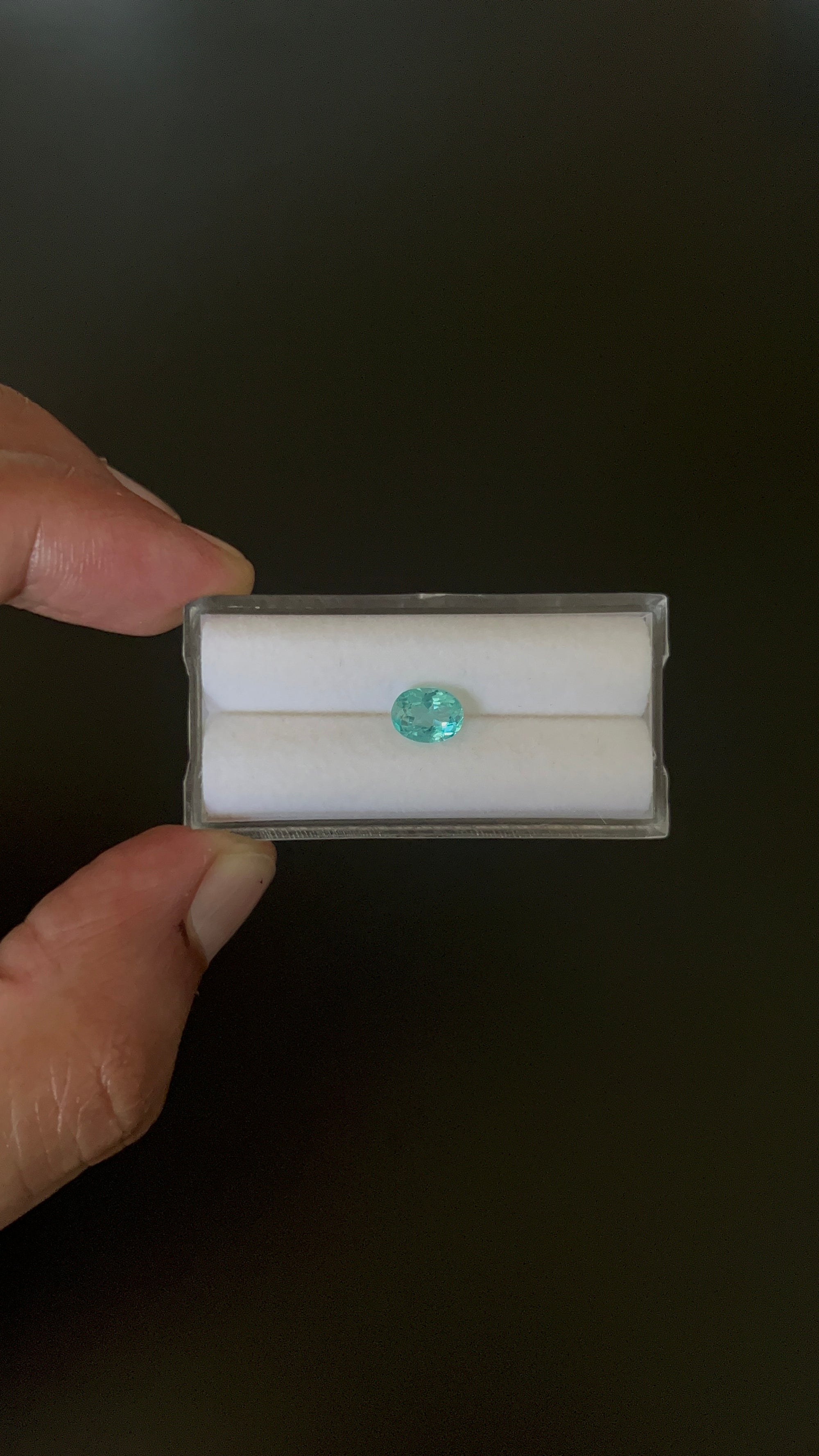 Natural Blue Apatite Faceted 7.4x5.7 mm Approximately 1.06 Carat (GTG-AP-99)