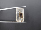 Dendrite Quartz  20x12 mm
