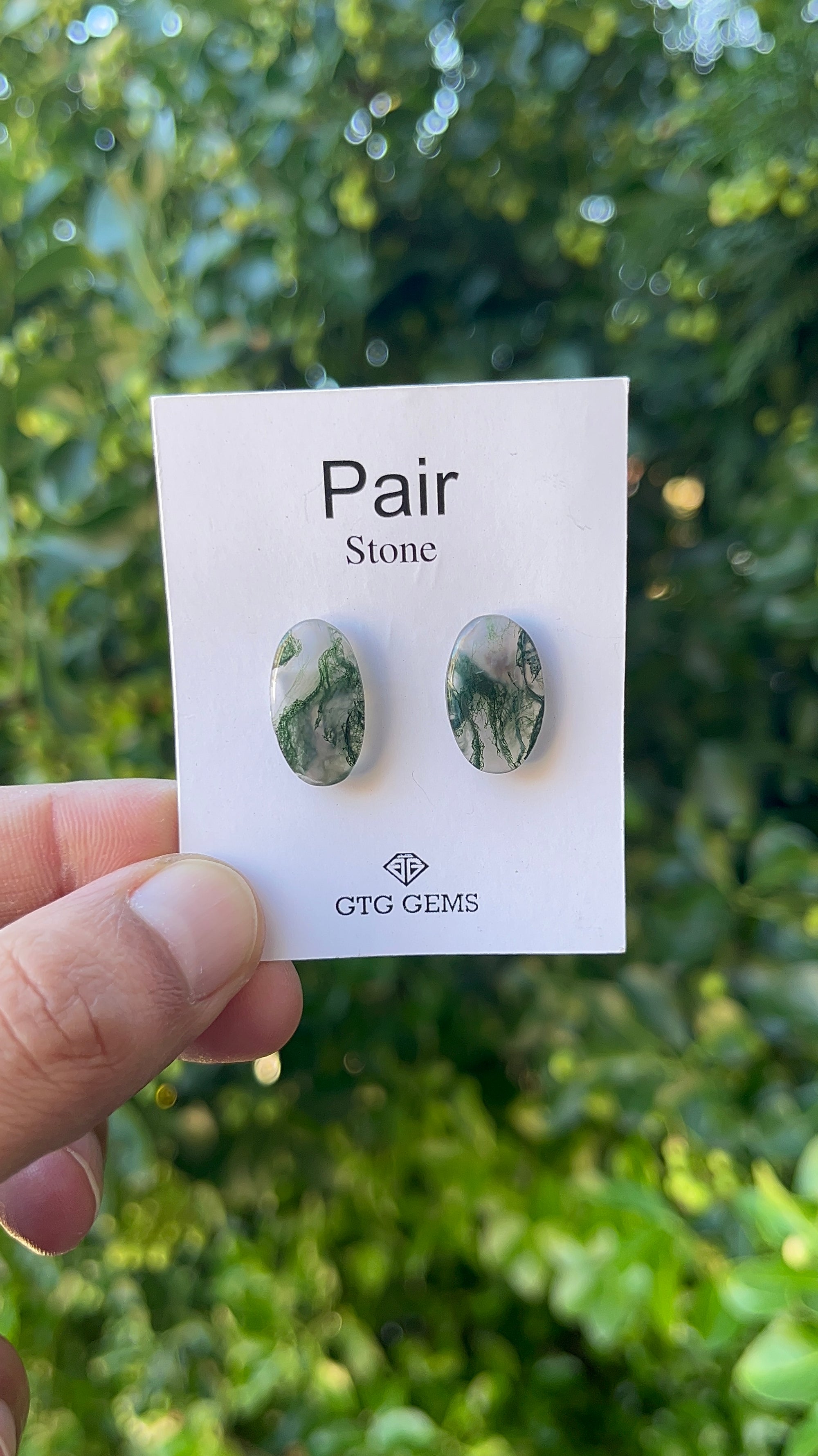 Moss Agate 18.50x10mm Matching Pair Cabochon  Approximately 11 Carat (GTG-MMA-1)