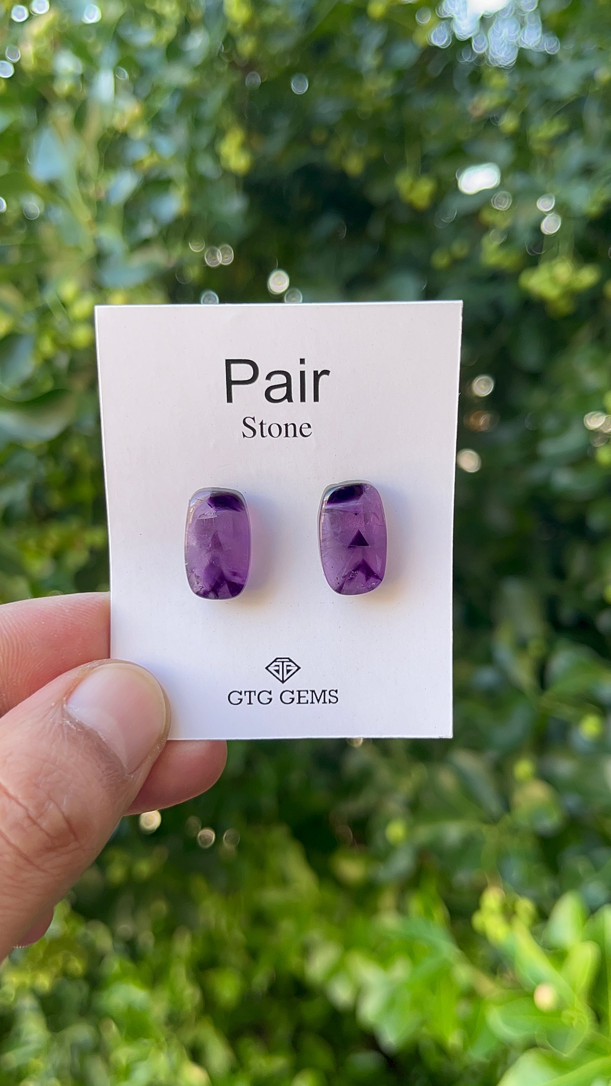 Star Amethyst Matching Pair Cabochon 16x10 mm, Approximately 16.50 Carat (GTG-AM-23)