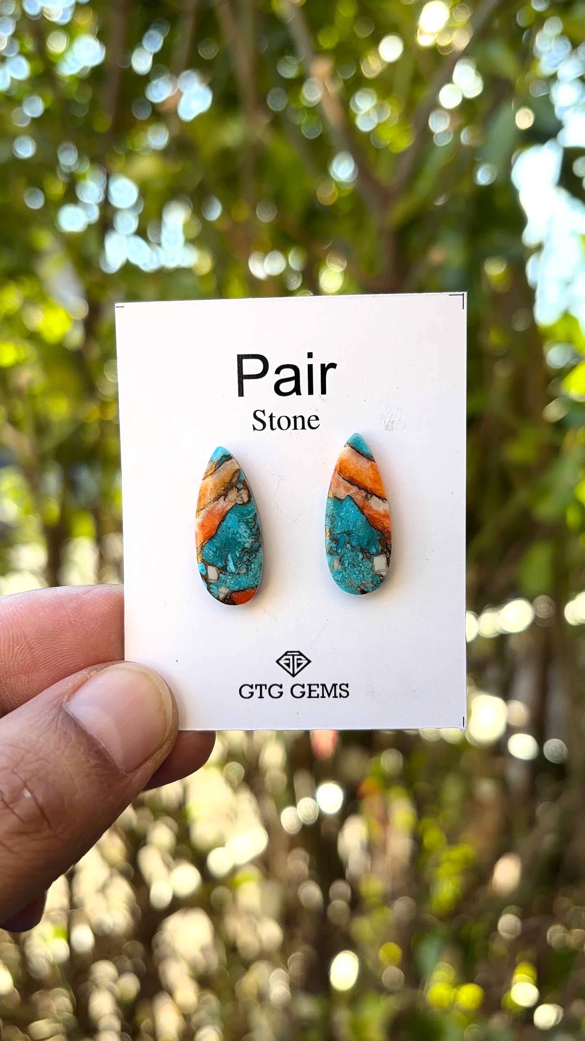 Oyster Copper Turquoise Cabochon Matching Pair 22x8 mm