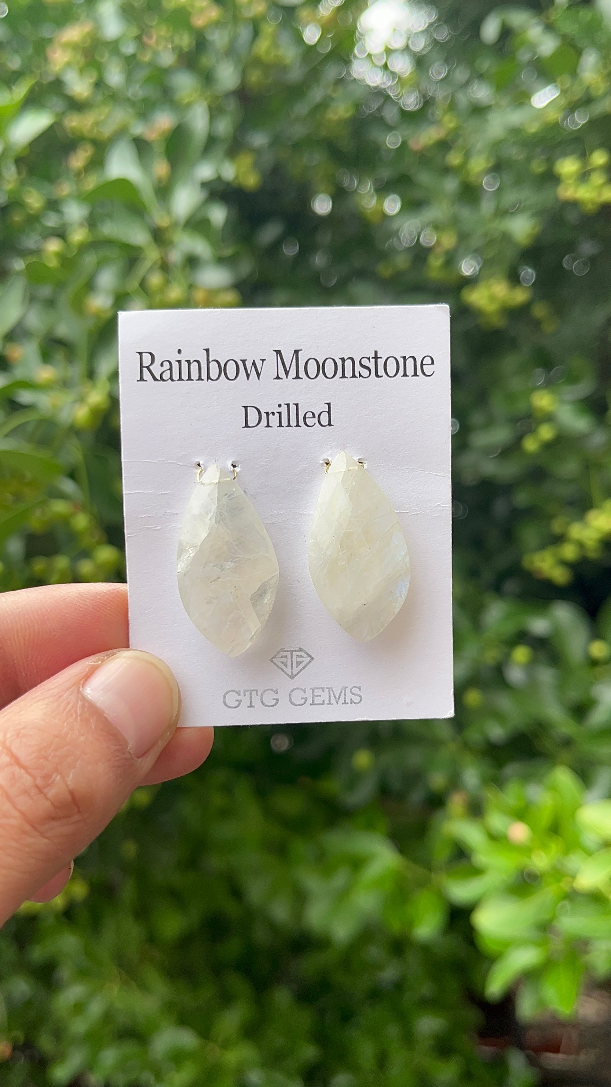Drilled Rainbow Moonstone, Drop Rainbow Moonstone 30x15mm (GTG-DRM-02)