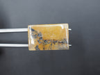Dendrite Quartz 22x14 mm