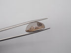 Garden Quartz Cabochon 18x14 mm Approximately 15.72 Carat (GTG-GQ-14)