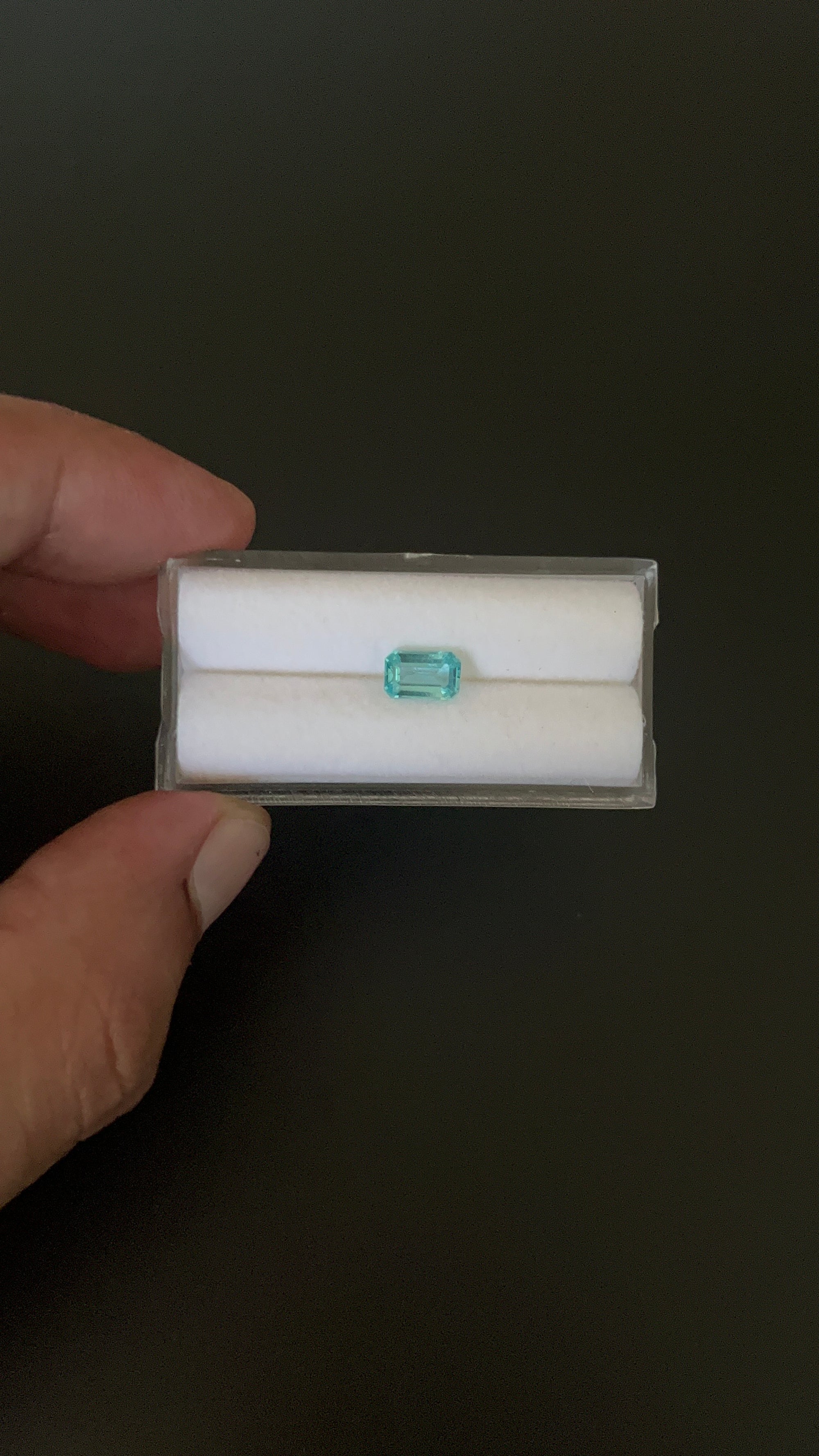 Natural Blue Apatite Faceted 7.6x4.9 mm Approximately 1.07 Carat (GTG-AP-101)