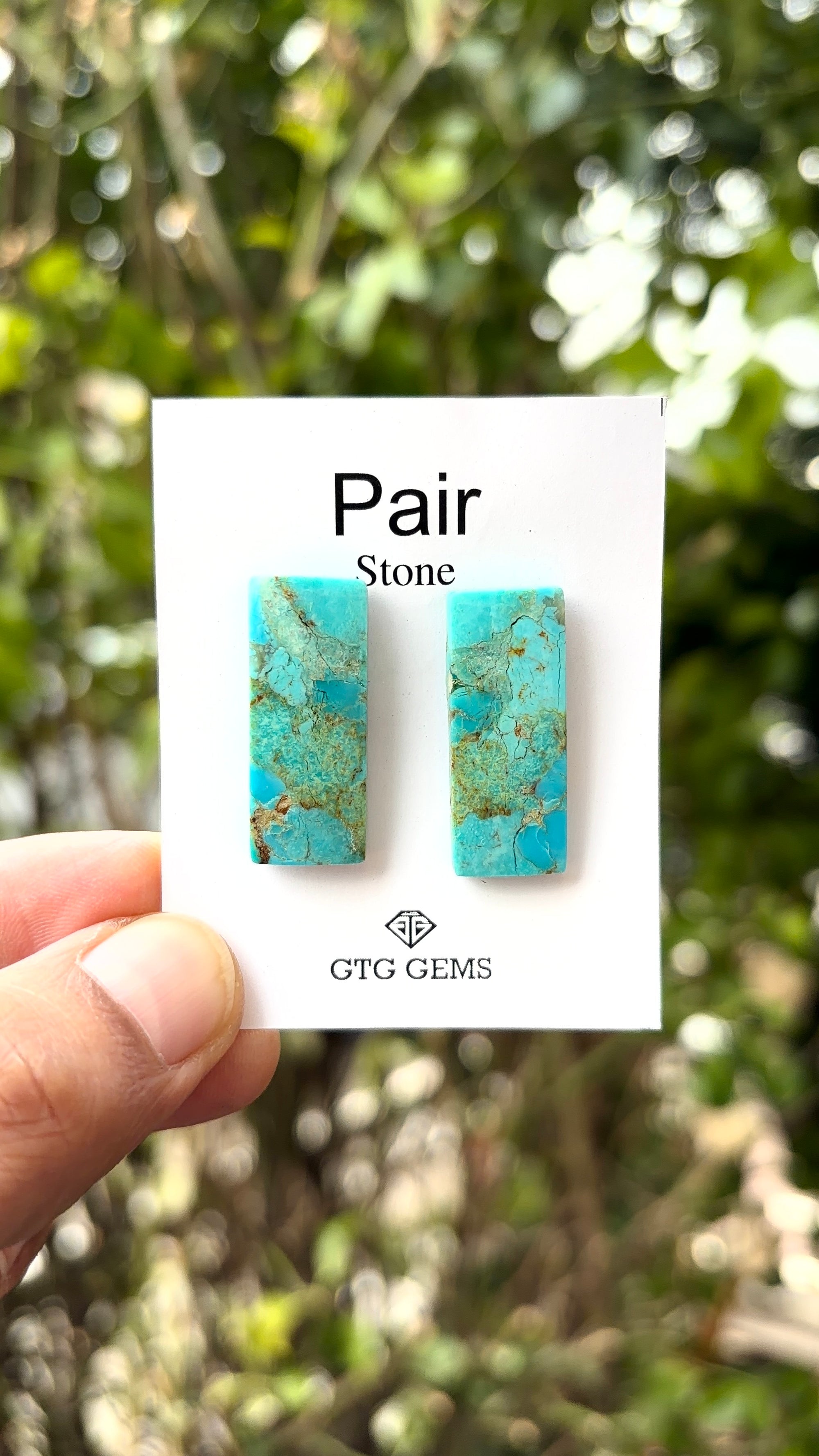 American Turquoise Cabochon Matching Pair 29x12 mm