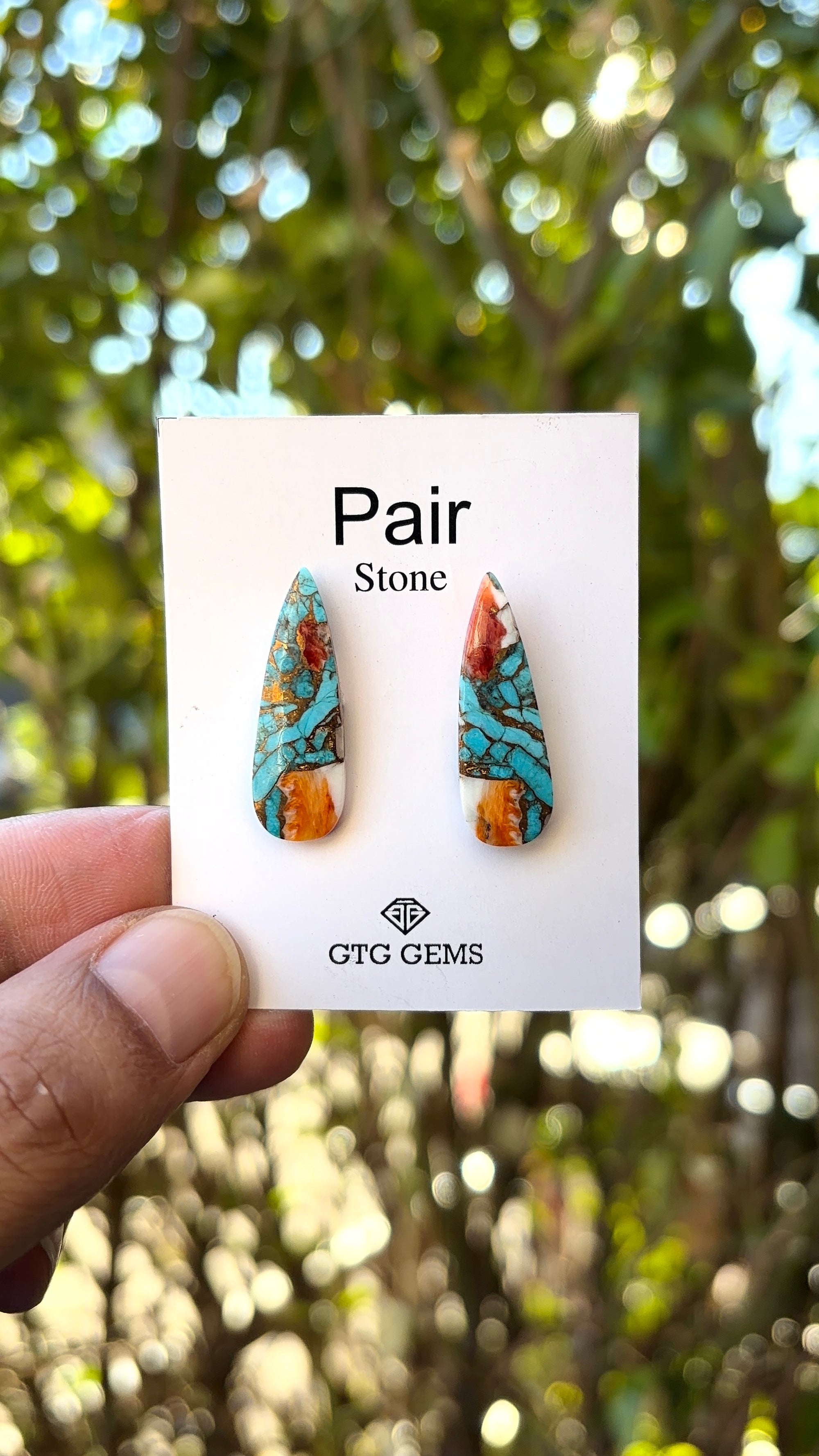 Oyster Copper Turquoise Cabochon Matching Pair 27x8 mm