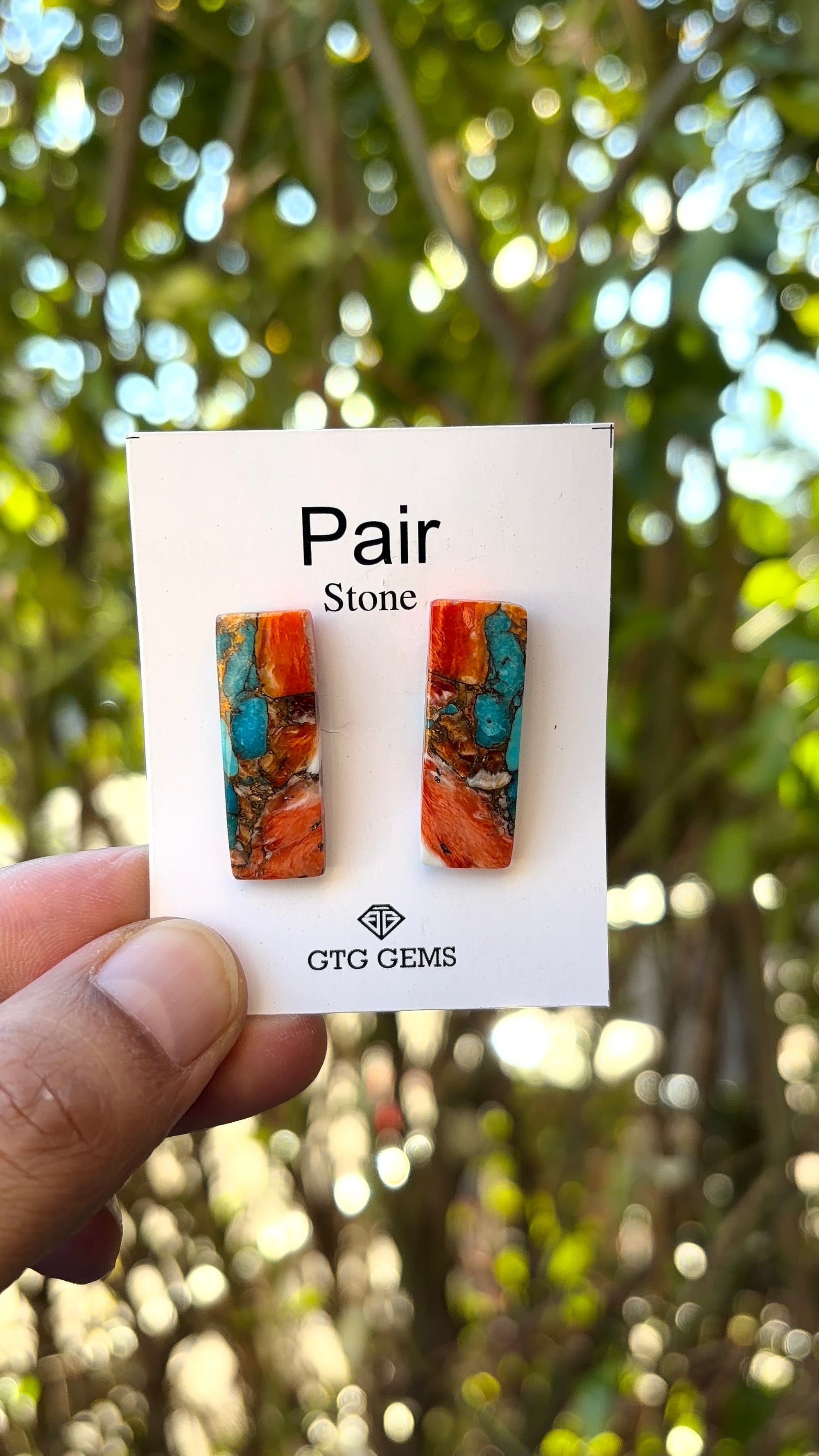 Oyster Copper Turquoise Cabochon Matching Pair 28x9 mm