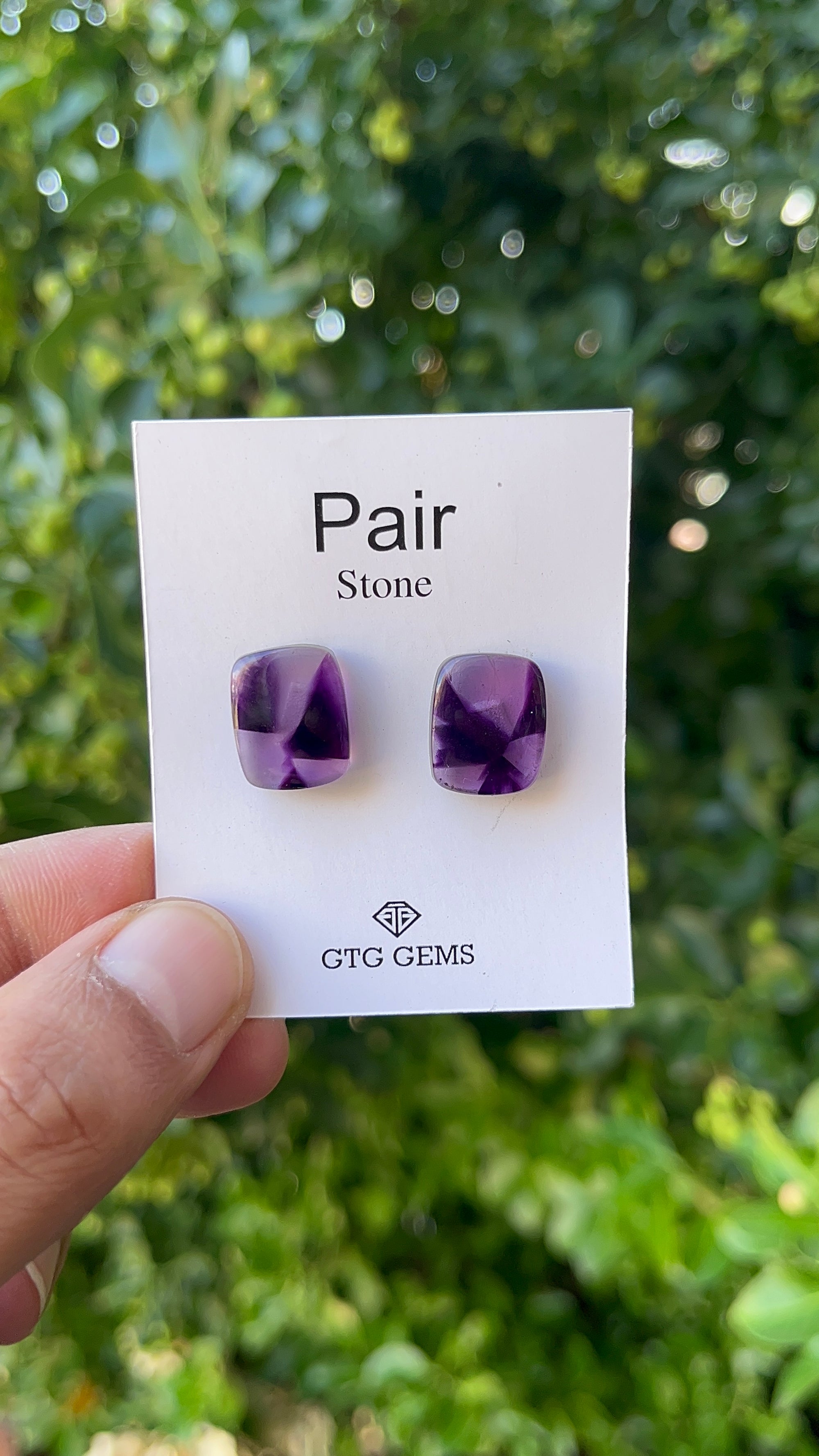 Star Amethyst Matching Pair Cabochon 15x12 mm, Approximately 17.50 Carat (GTG-AM-20)