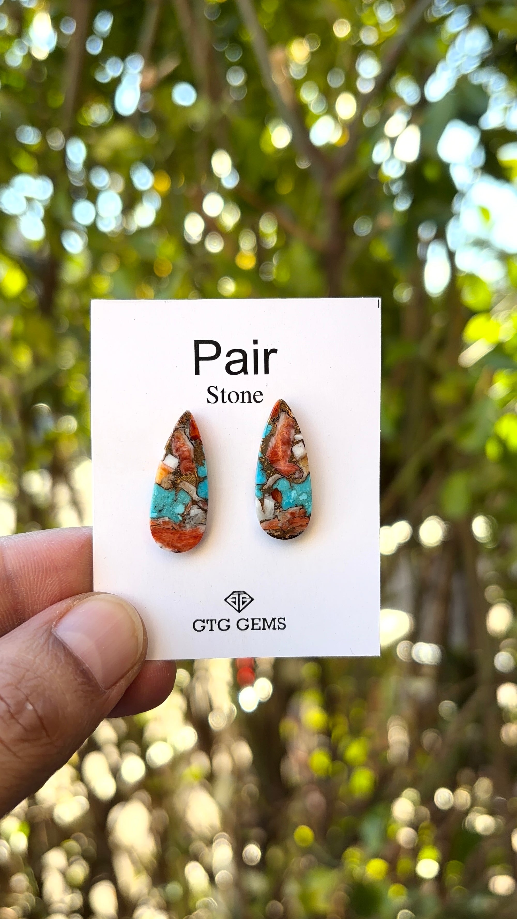 Oyster Copper Turquoise Cabochon Matching Pair 23x8 mm
