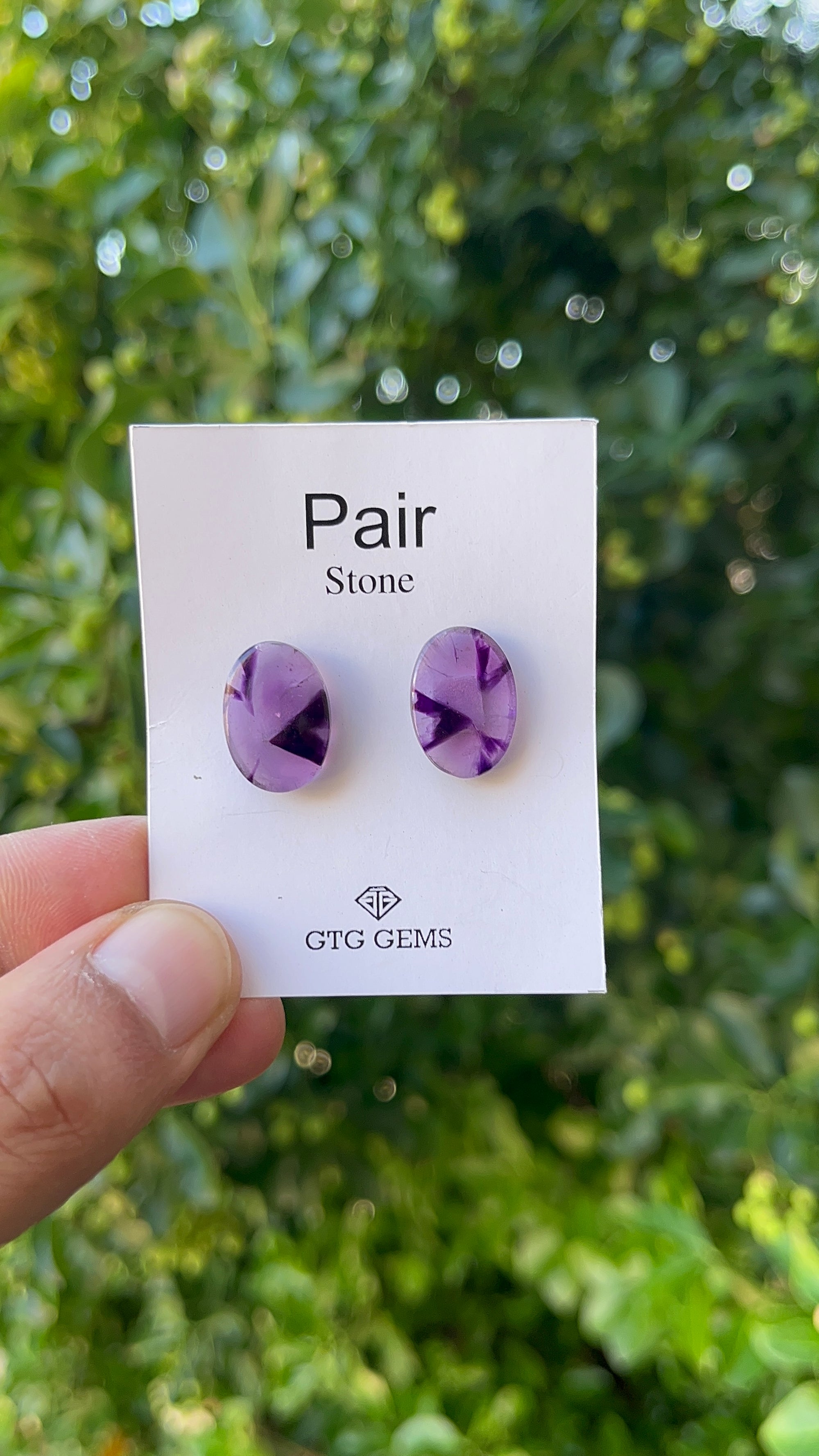 Star Amethyst Matching Pair Cabochon 17x12 mm, Approximately 14 Carat (GTG-AM-17)