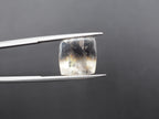 Dendrite Quartz  12x12 mm