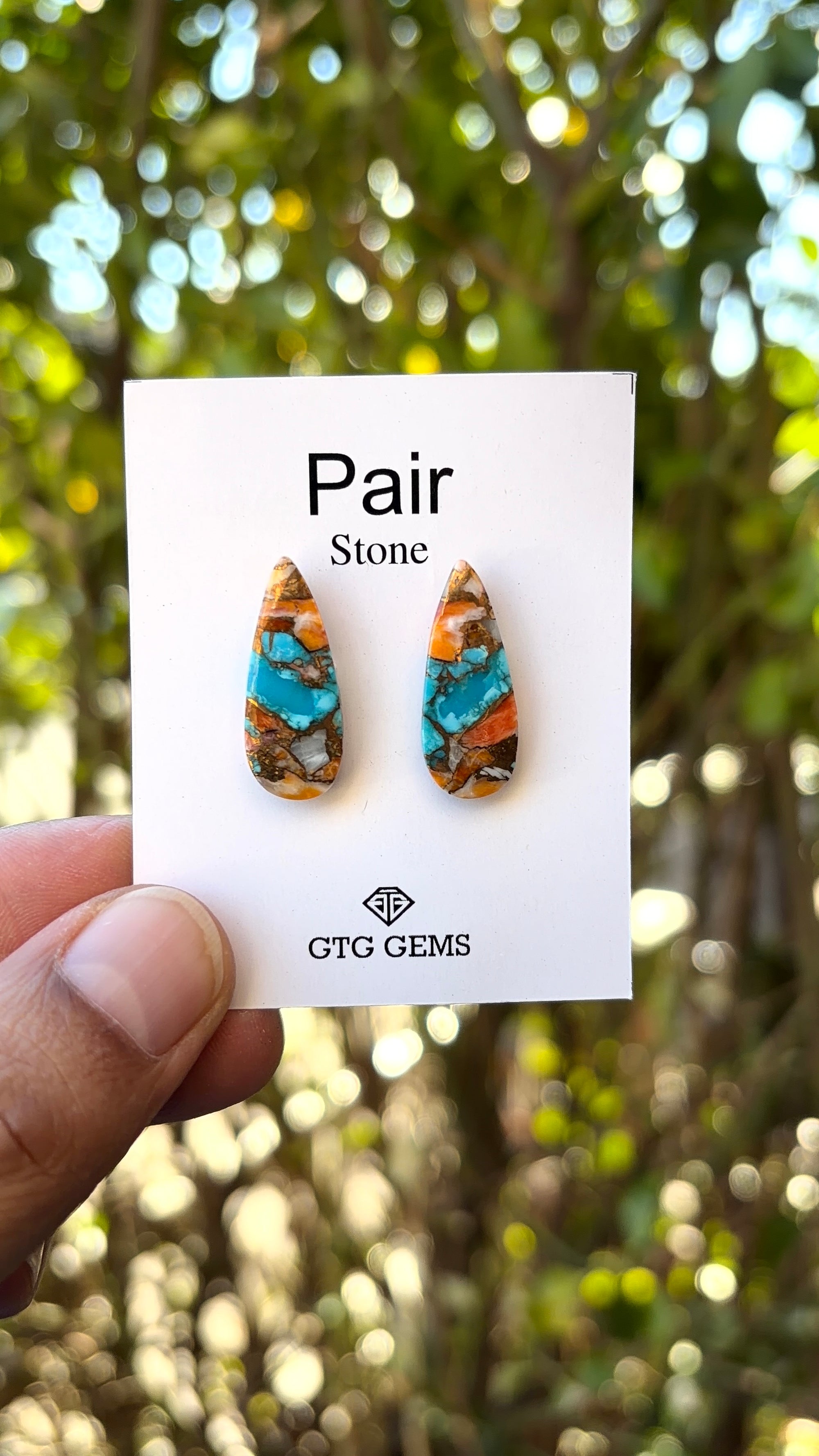 Oyster Copper Turquoise Cabochon Matching Pair 22x8 mm