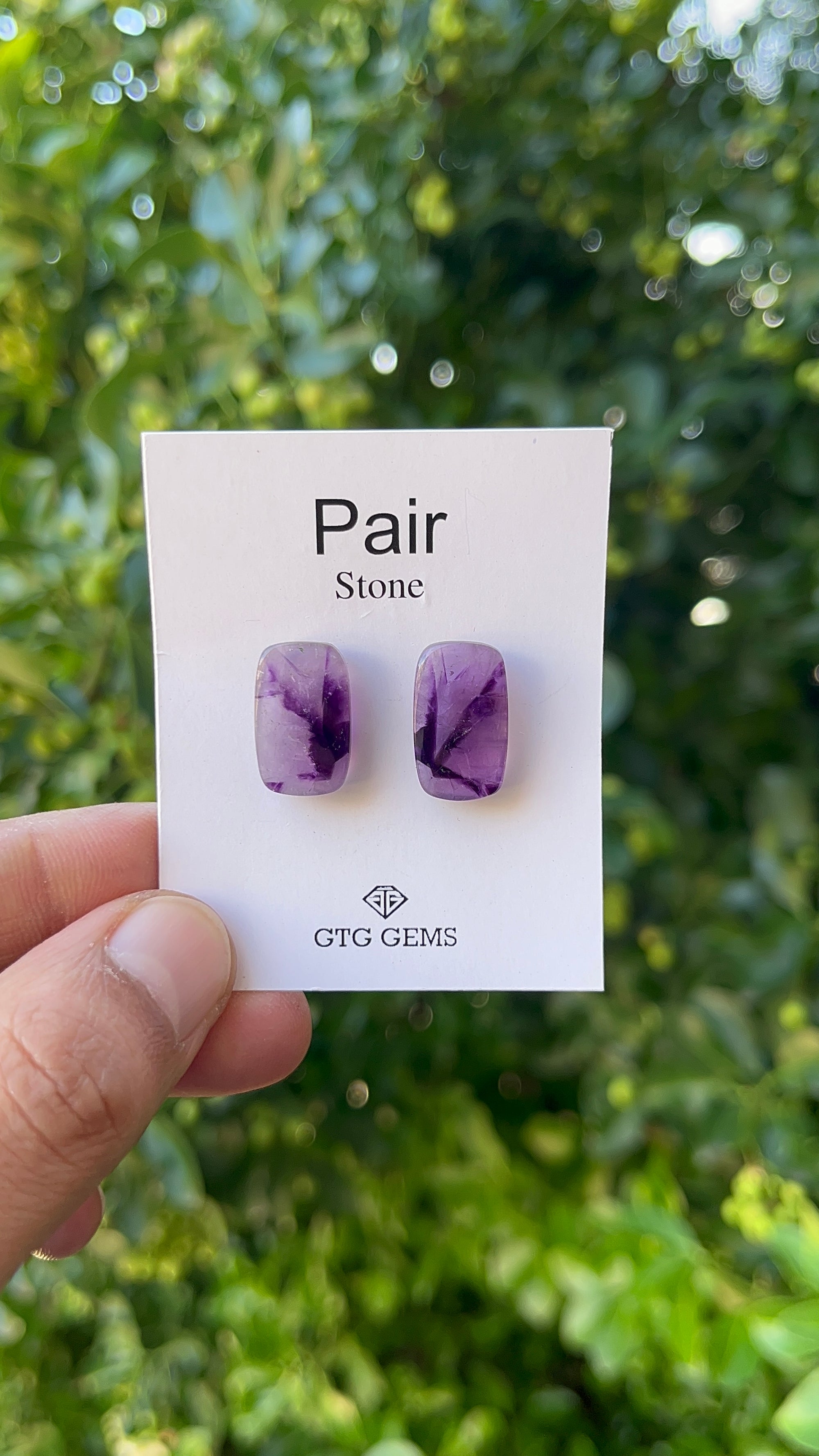 Star Amethyst Matching Pair Cabochon 17x10 mm, Approximately 17 Carat (GTG-AM-12)