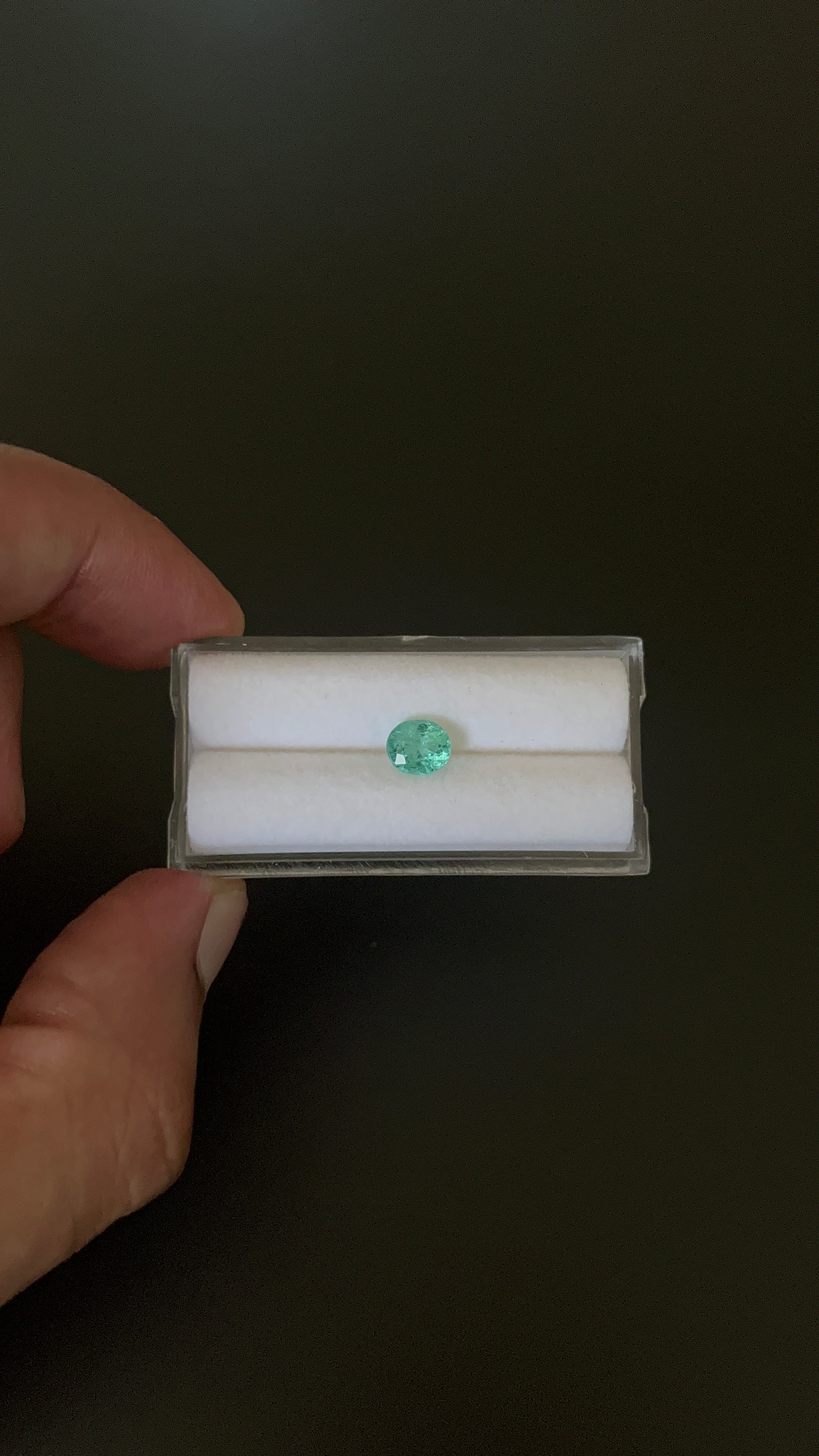 Natural Blue Apatite Faceted 7.1x5.7 mm Approximately 1.06 Carat (GTG-AP-105)