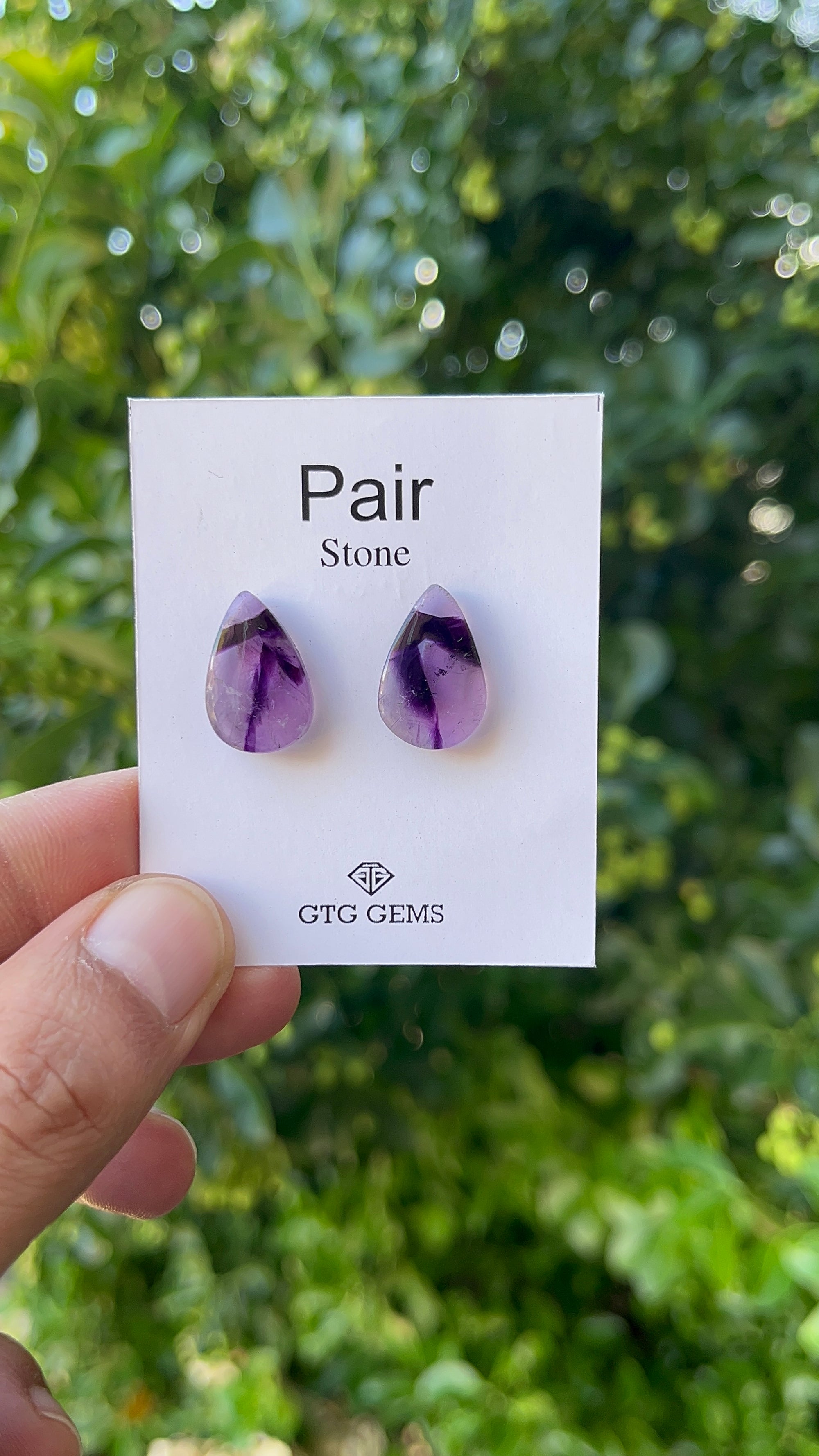 Star Amethyst Matching Pair Cabochon 18x12 mm, Approximately 14.50 Carat (GTG-AM-16)