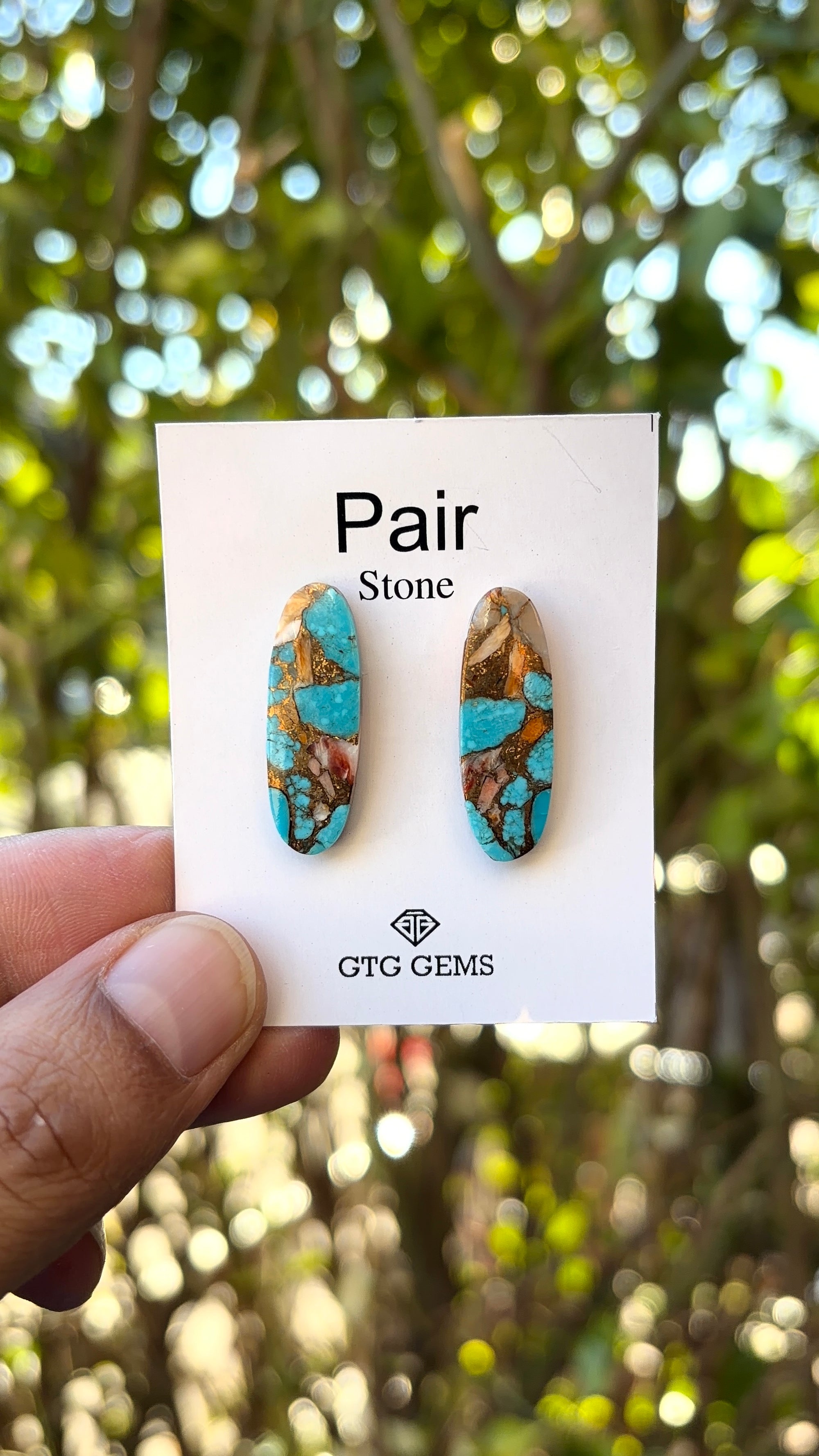 Oyster Copper Turquoise Cabochon Matching Pair 27x8 mm