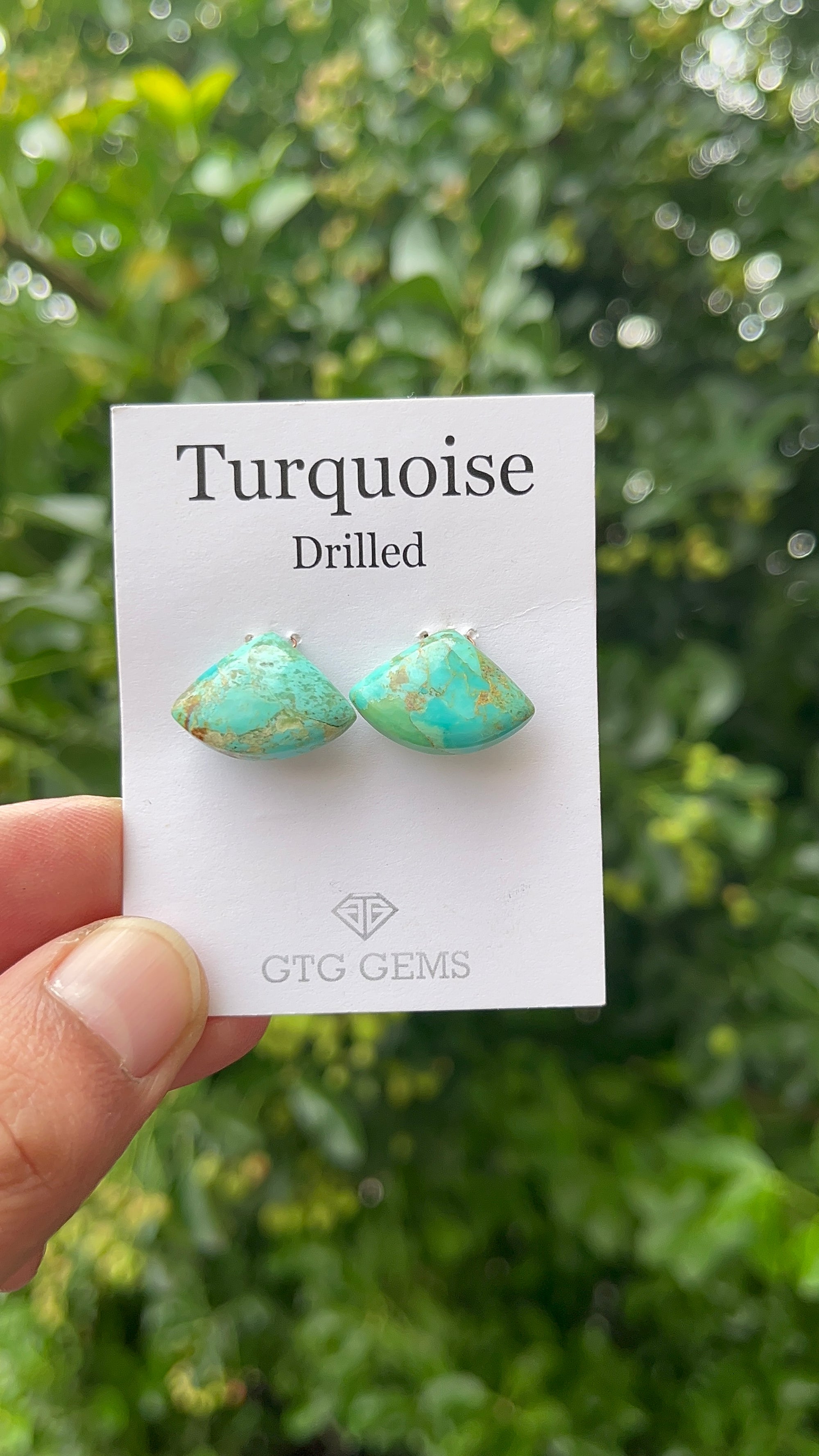 Turquoise Drilled Matching Pair Approximately 16.37 Carat (GTG-DTR-02)