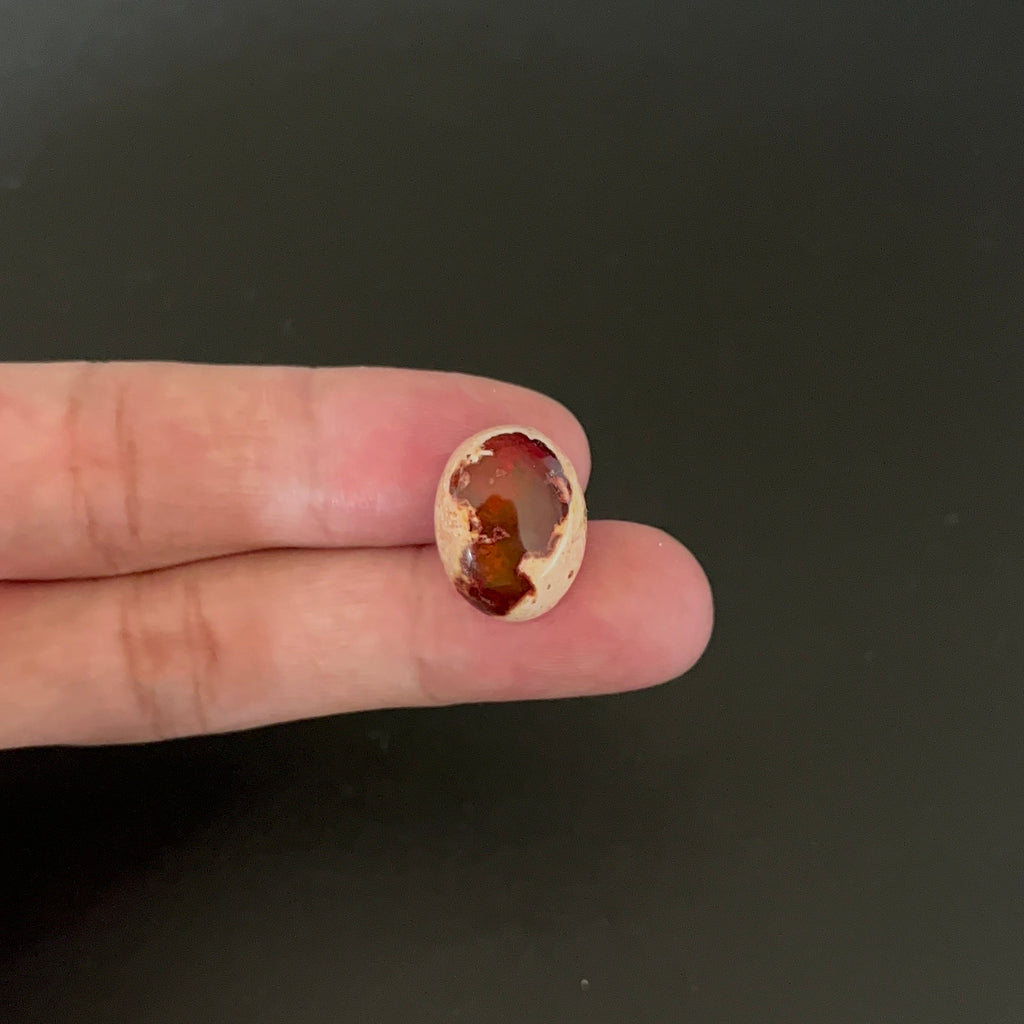 Mexican Fire Opal Cabochon 18x14 mm Approximately 9.95 Carat (GTG-MFO-19)